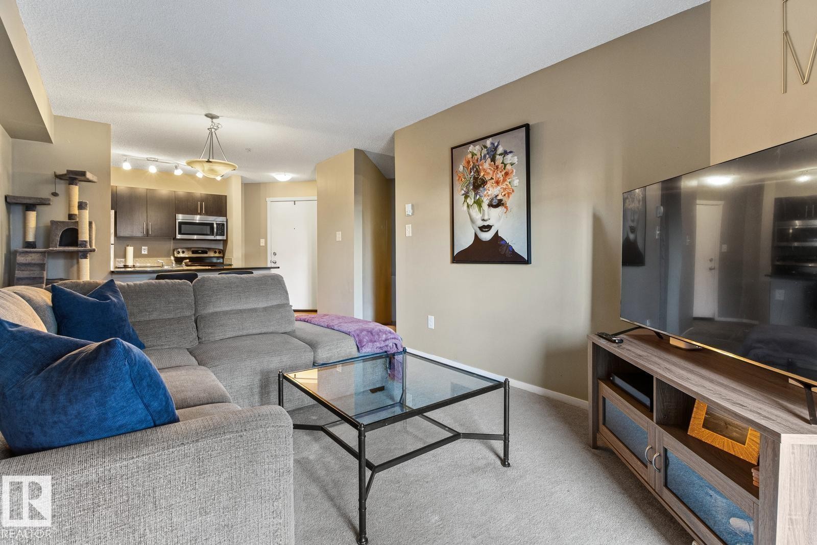 208 18122 77 Street, Edmonton, AB - Indoor Photo Showing Living Room