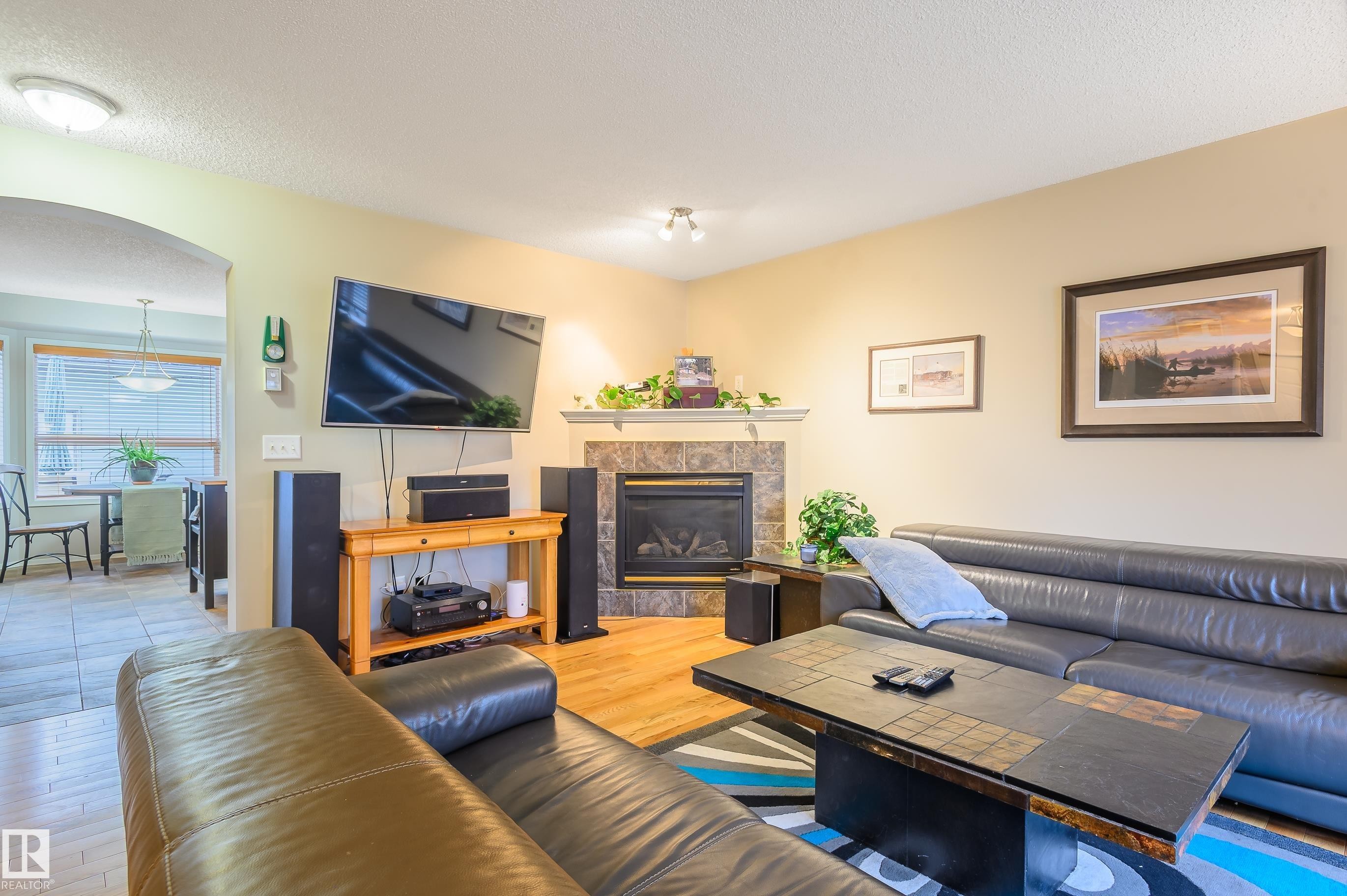 5428 202 Street, Edmonton, AB - Indoor Photo Showing Living Room With Fireplace