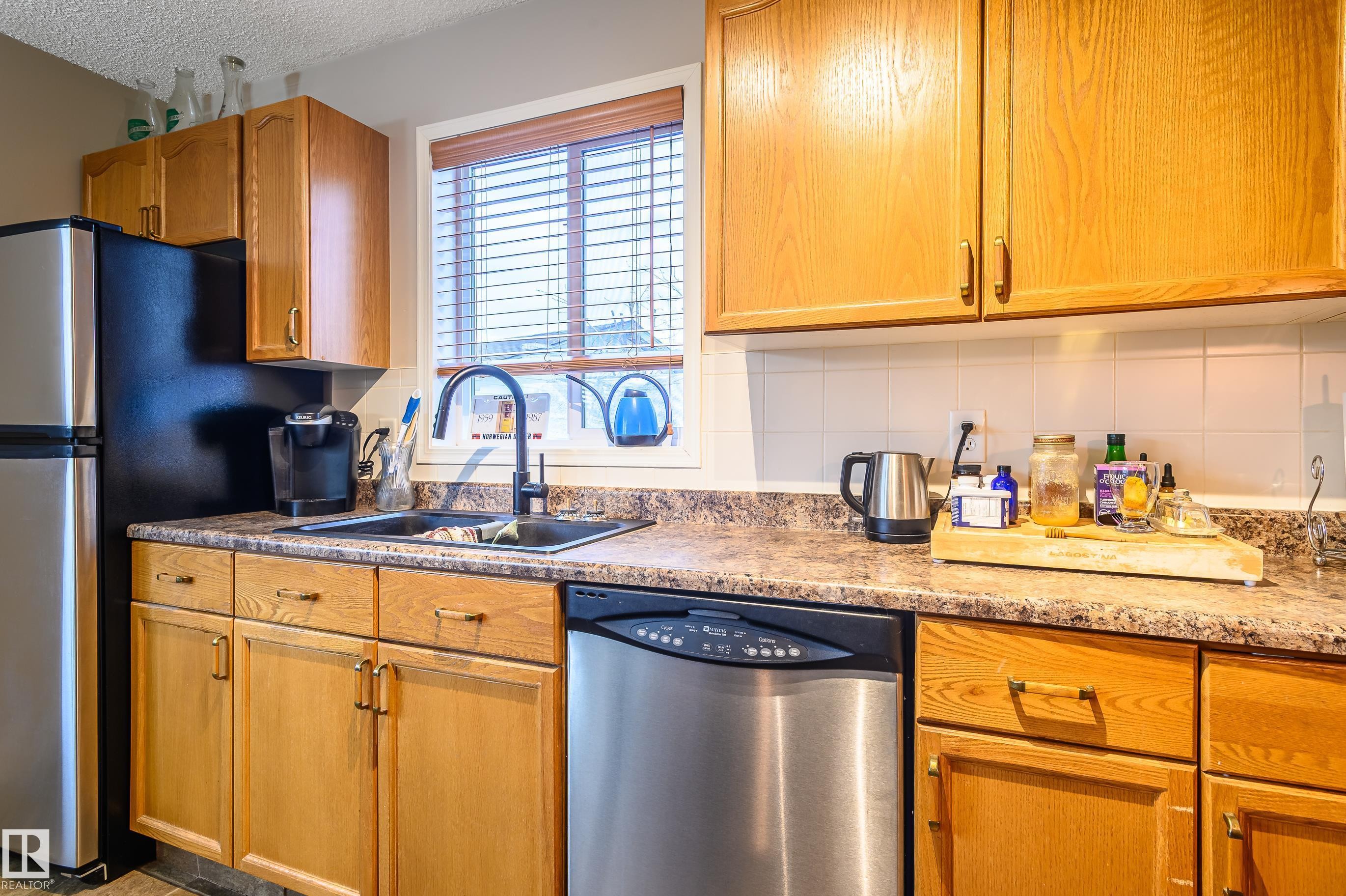 5428 202 Street, Edmonton, AB - Indoor Photo Showing Kitchen With Double Sink