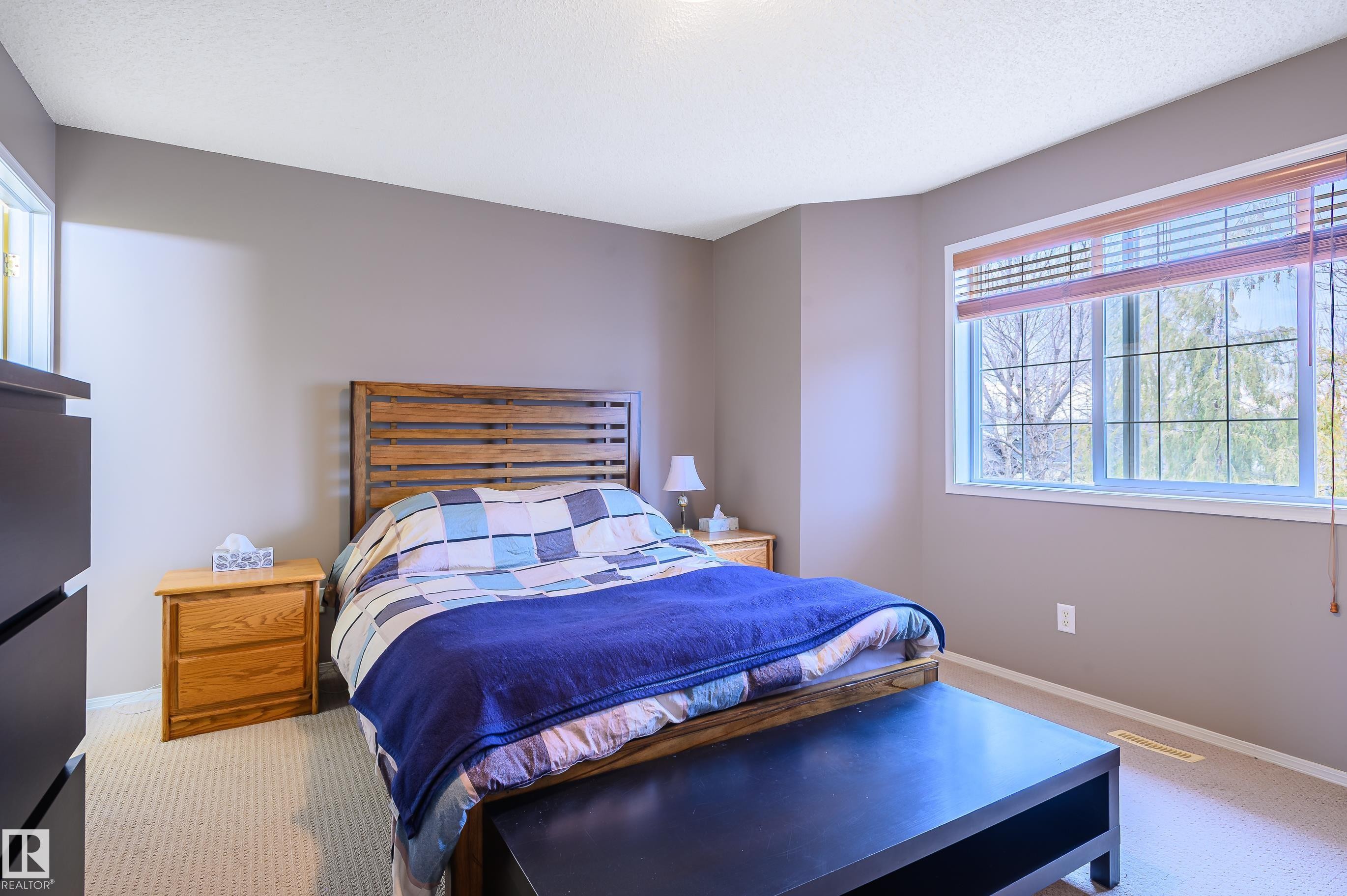 5428 202 Street, Edmonton, AB - Indoor Photo Showing Bedroom