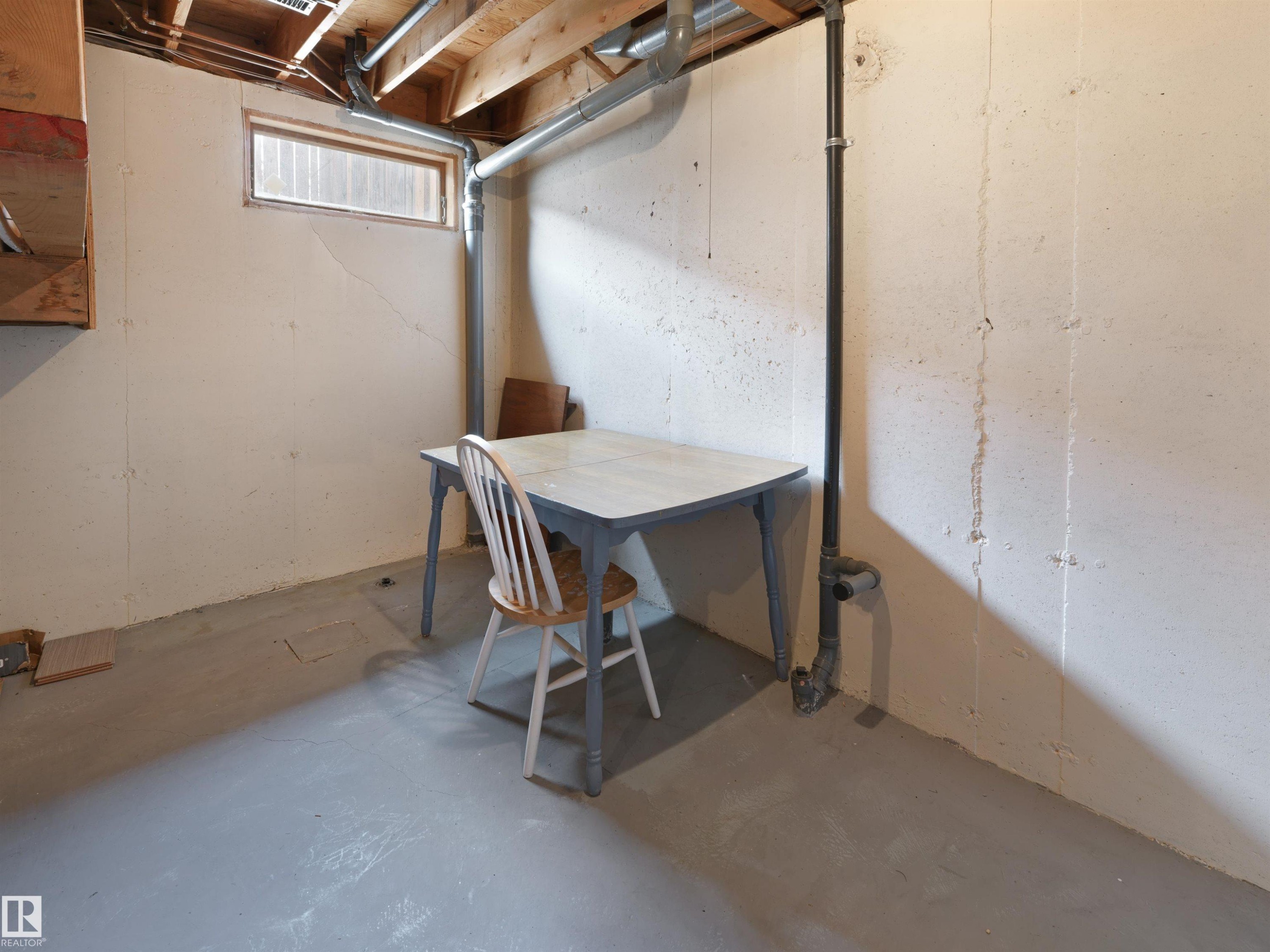 12335 25 Avenue, Edmonton, AB - Indoor Photo Showing Basement