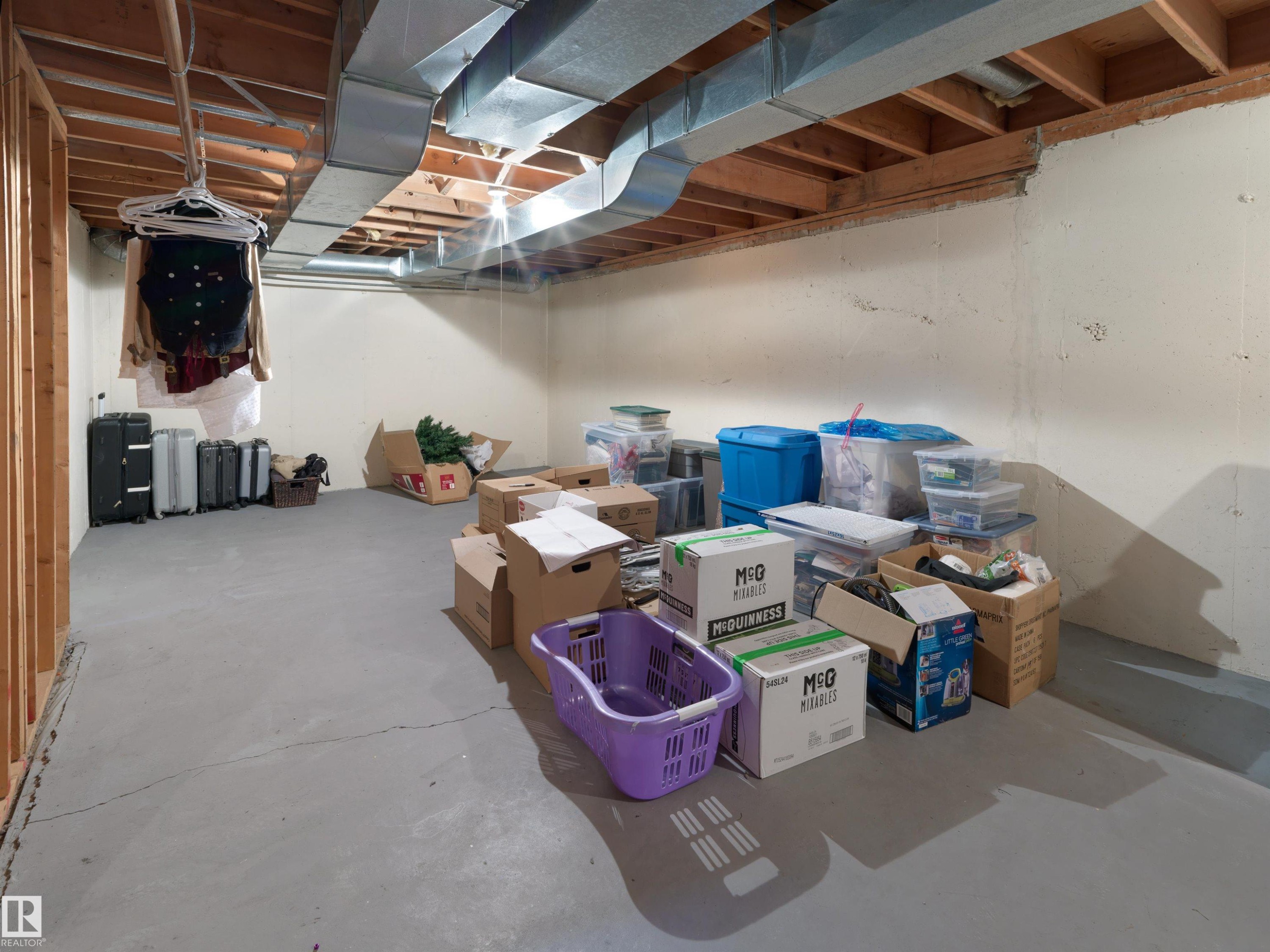 12335 25 Avenue, Edmonton, AB - Indoor Photo Showing Basement