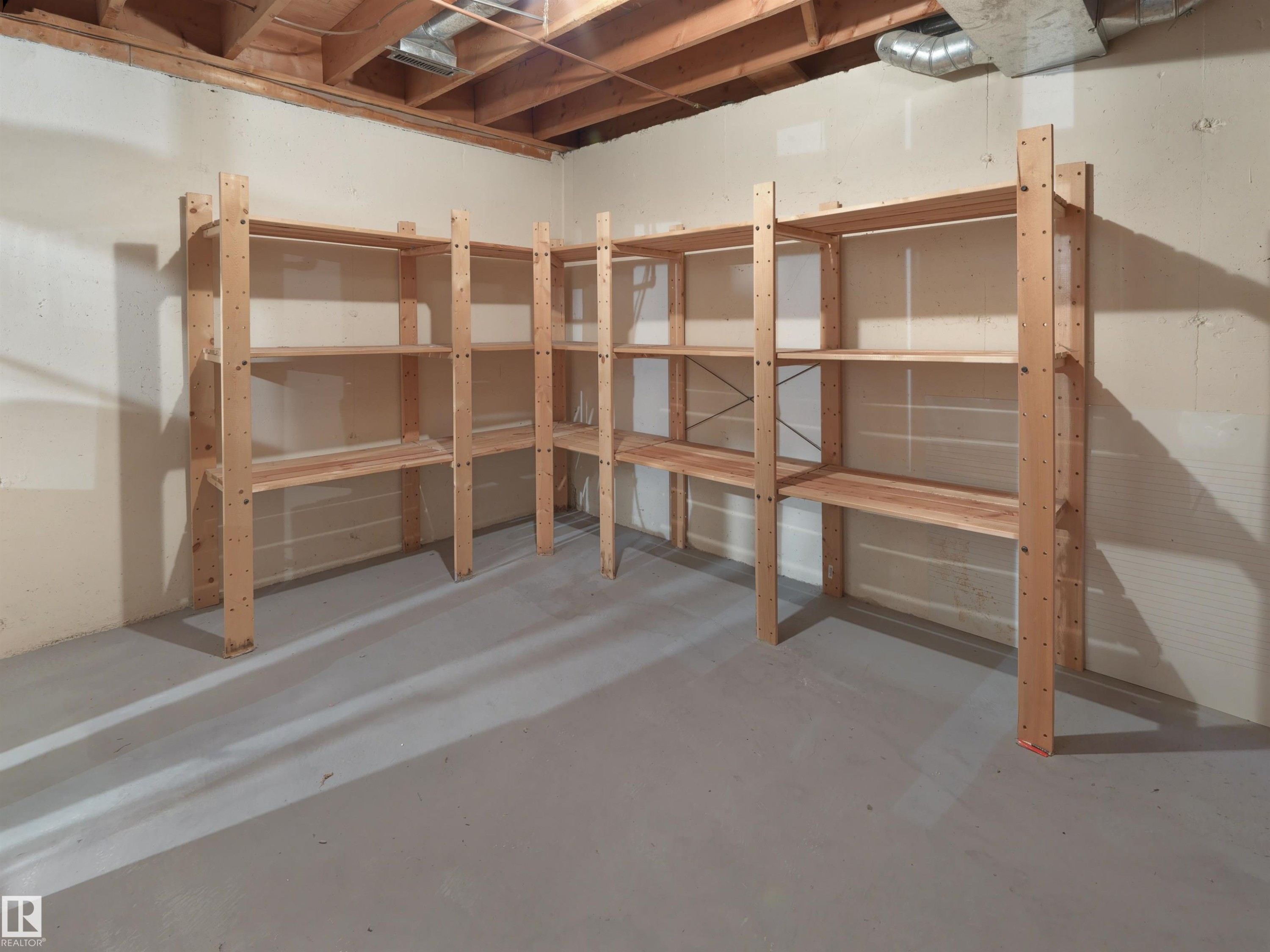 12335 25 Avenue, Edmonton, AB - Indoor Photo Showing Basement