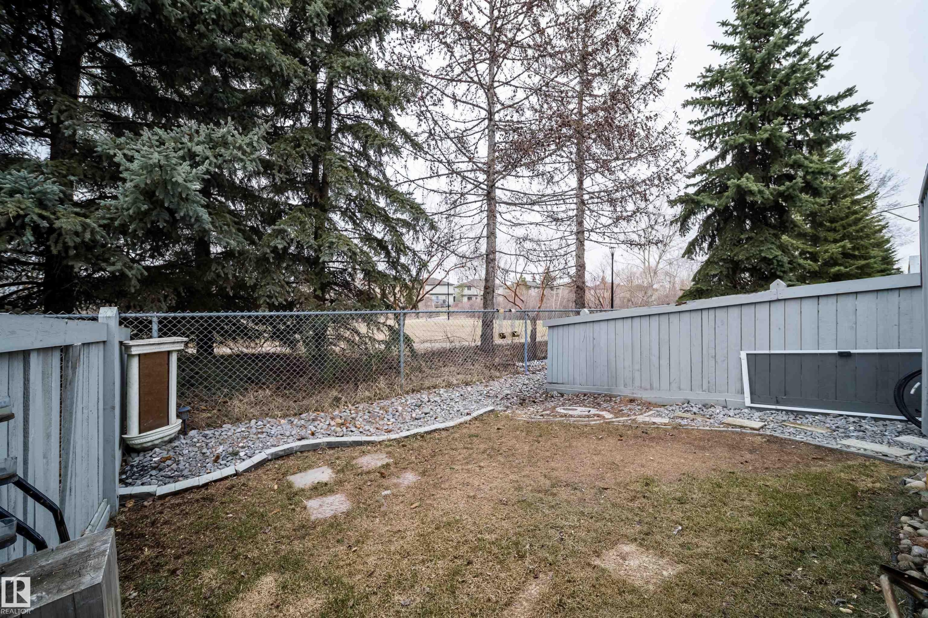 Fenced backyard featuring a gravel border, mature evergreen trees, and a chain link fence at the property's rear - 50 14603 Miller Boulevard, Edmonton, AB