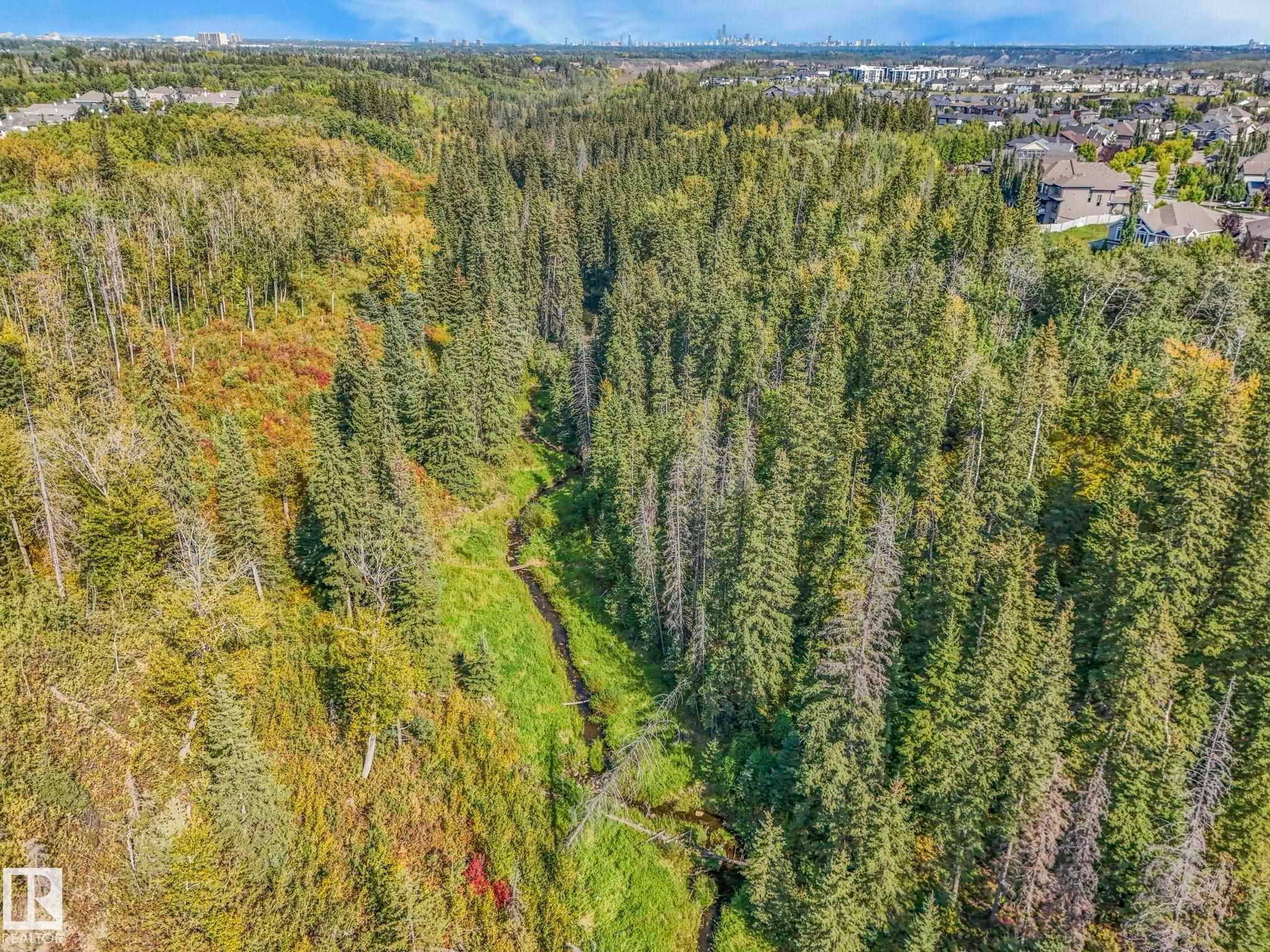 1232 Chahley Landing, Edmonton, AB - Outdoor With View
