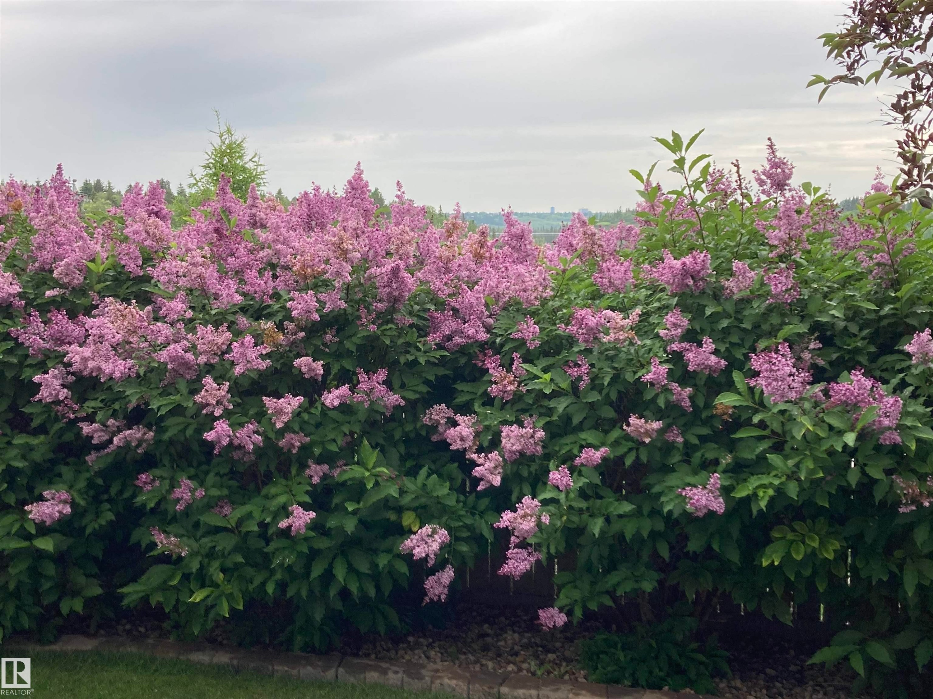 12 577 Butterworth Way, Edmonton, AB - Outdoor With View