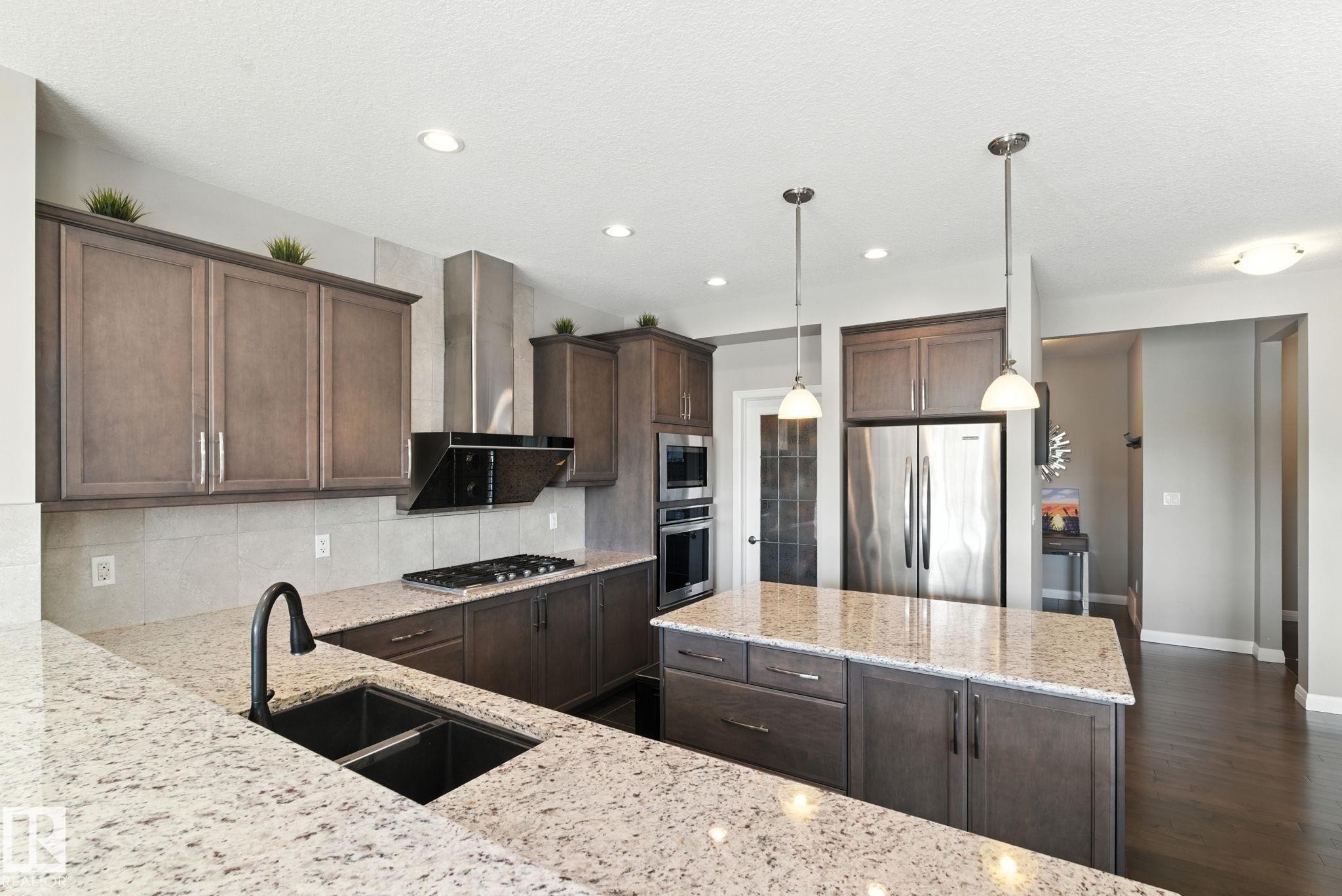 3875 Agar Green, Edmonton, AB - Indoor Photo Showing Kitchen With Double Sink With Upgraded Kitchen
