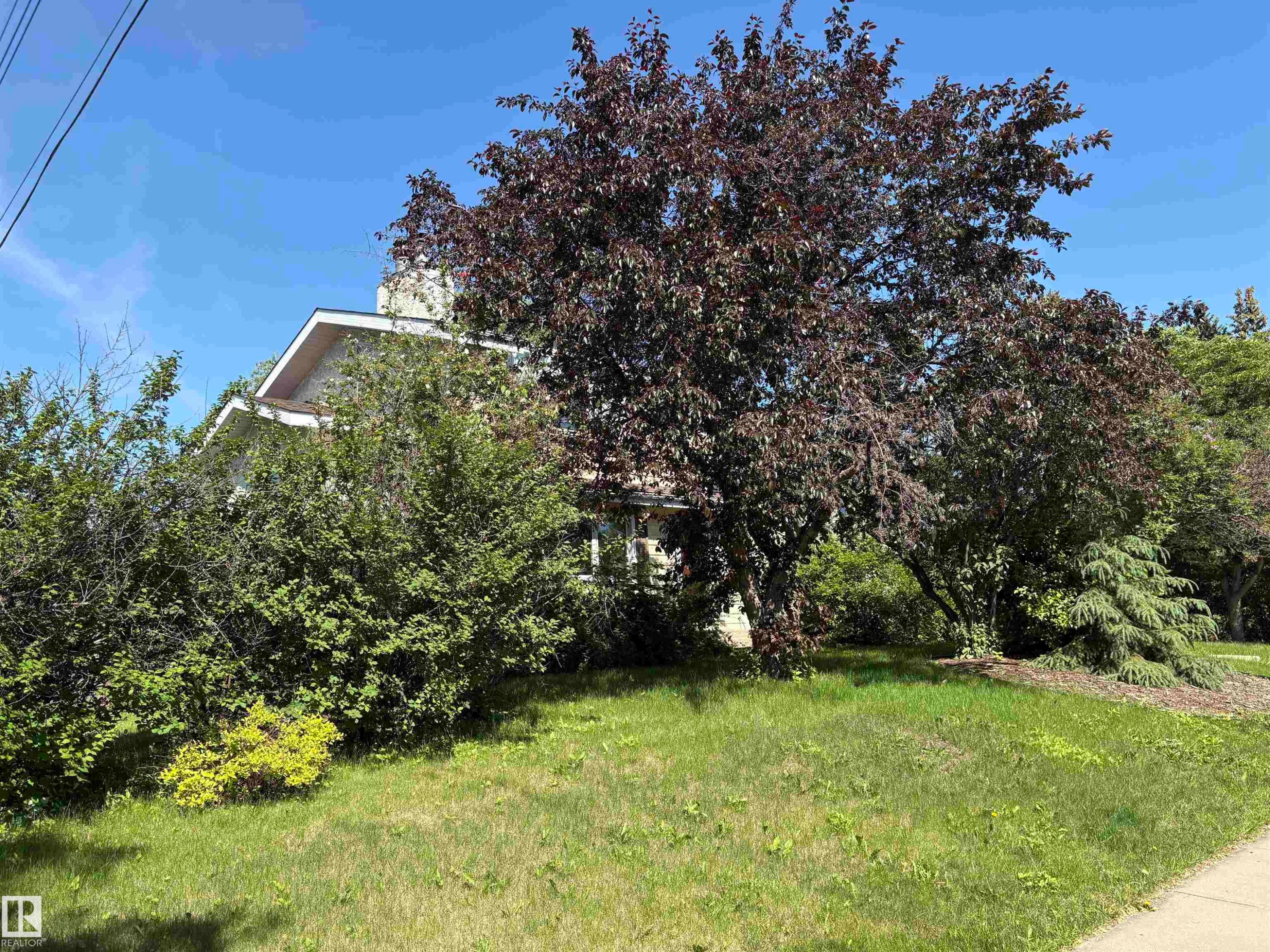Mature trees and established shrubbery complement a partial glimpse of the property's exterior, featuring a visible roofline and gable - 8812 146 Street, Edmonton, AB