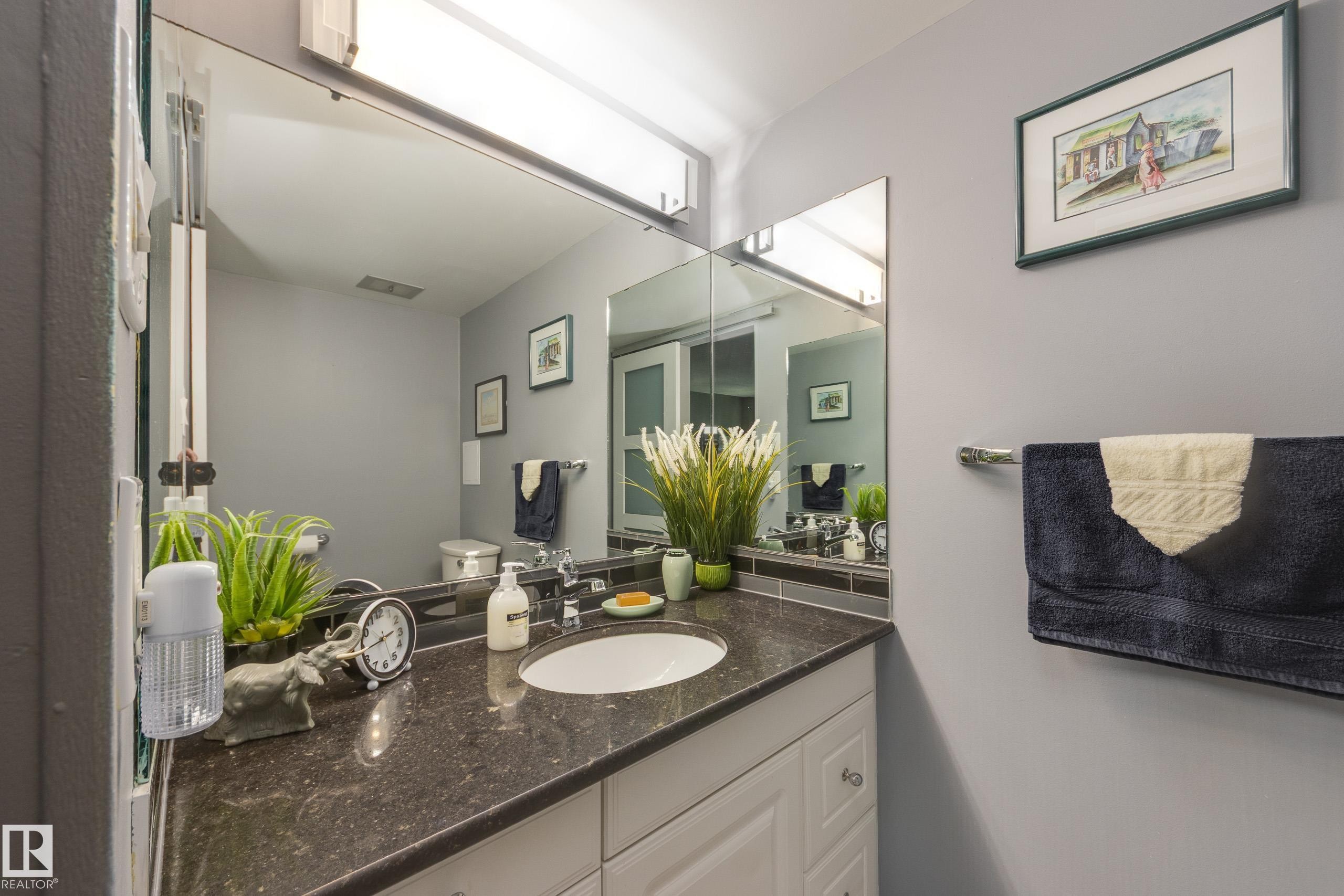 1406 12303 Jasper Avenue, Edmonton, AB - Indoor Photo Showing Bathroom