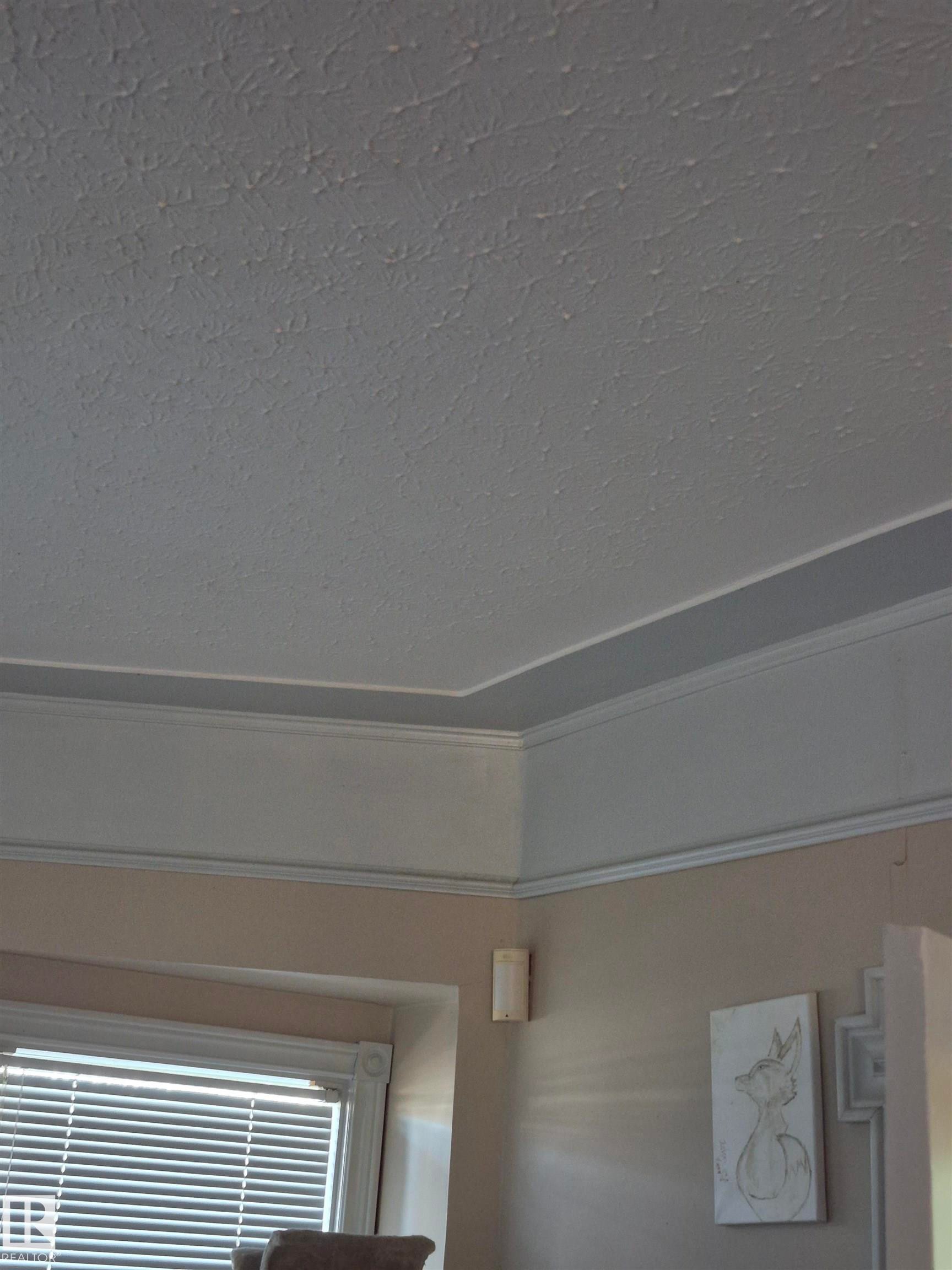 Tray ceiling featuring crown molding and textured finish - 11301 87 Street, Edmonton, AB - Indoor Photo Showing Other Room