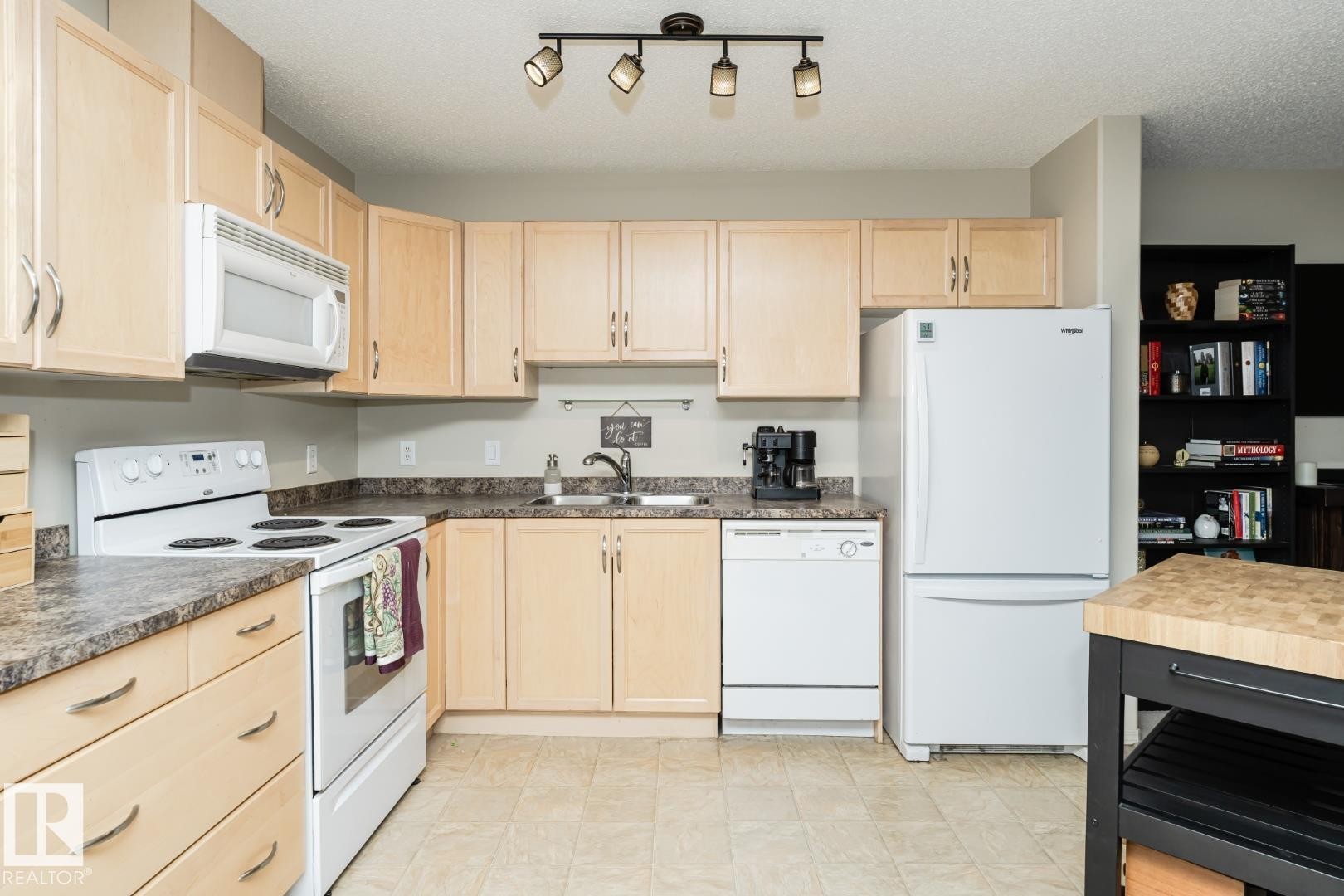 113 16035 132 Street, Edmonton, AB - Indoor Photo Showing Kitchen With Double Sink