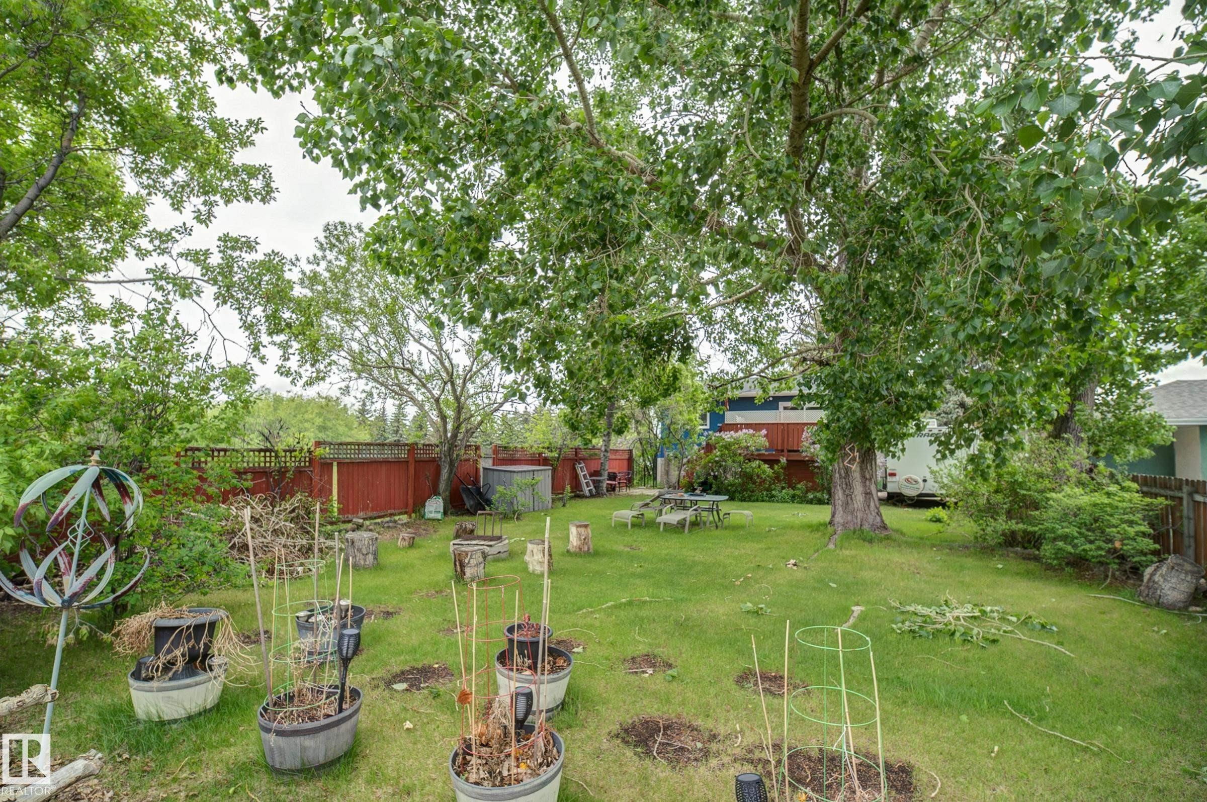 Expansive green lawn with mature trees providing extensive canopy - 4823 10 Avenue, Edmonton, AB