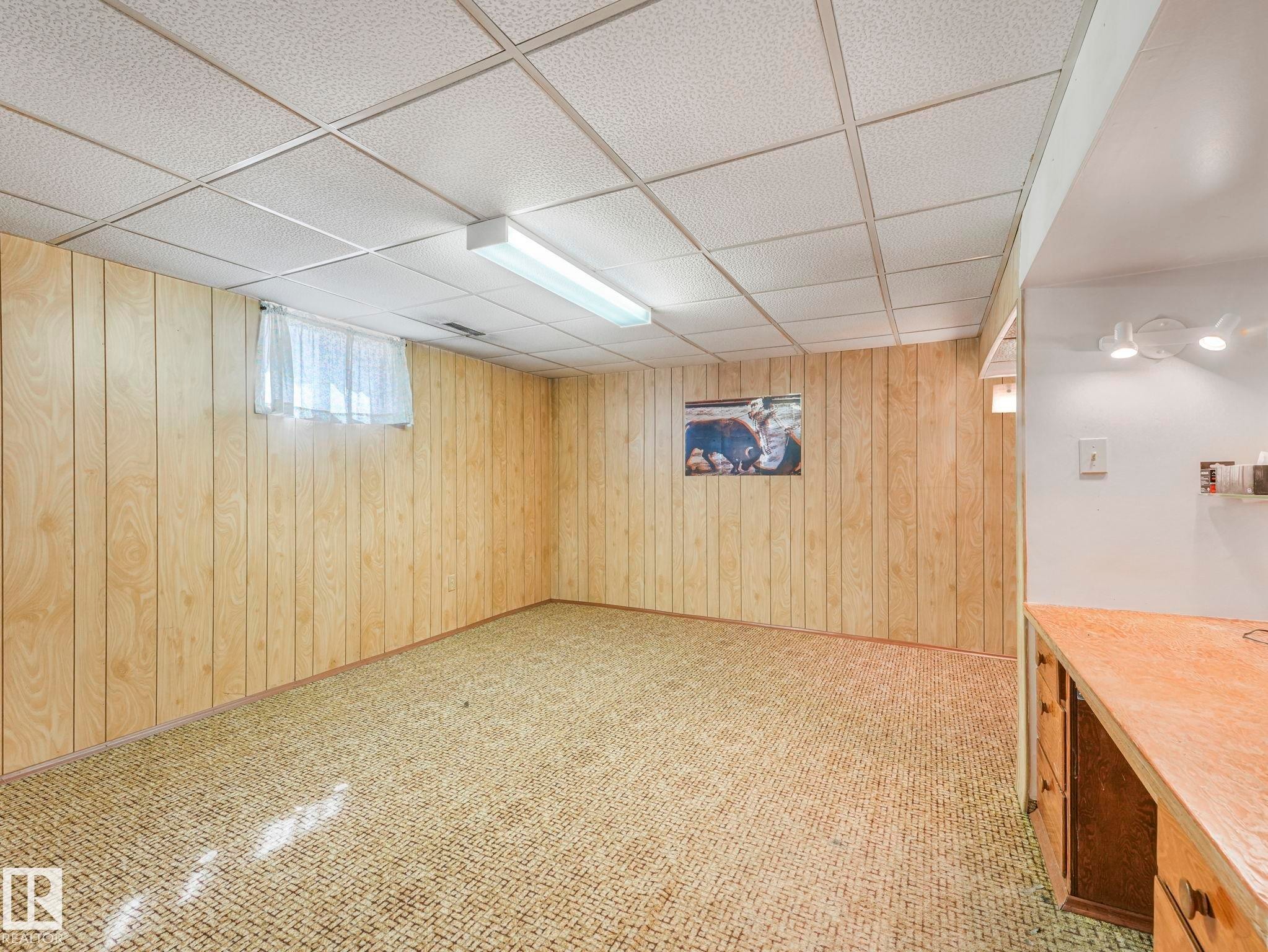 12245 96 Street, Edmonton, AB - Indoor Photo Showing Basement
