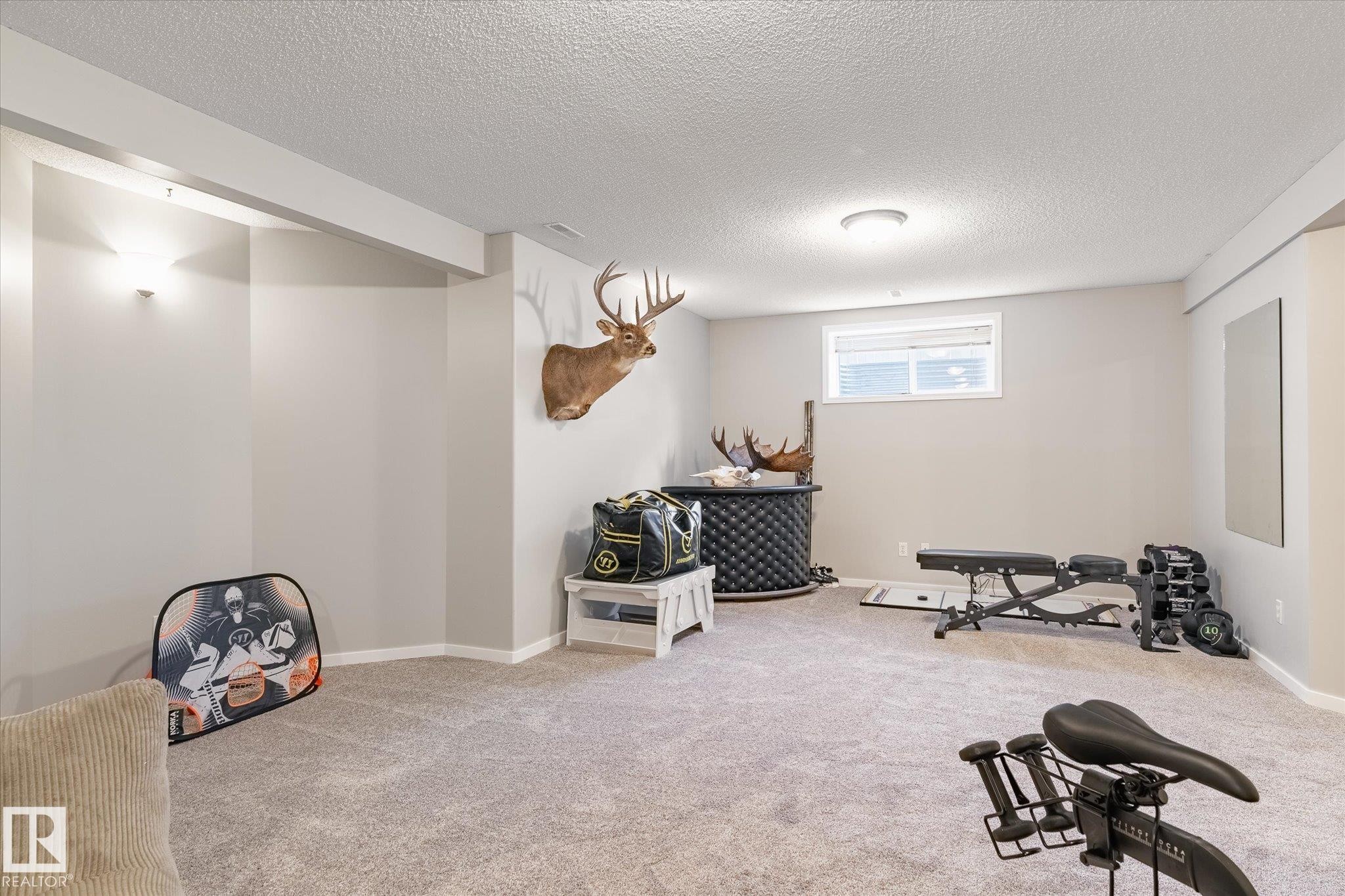 40 Dunfield Crescent, St. Albert, AB - Indoor Photo Showing Gym Room
