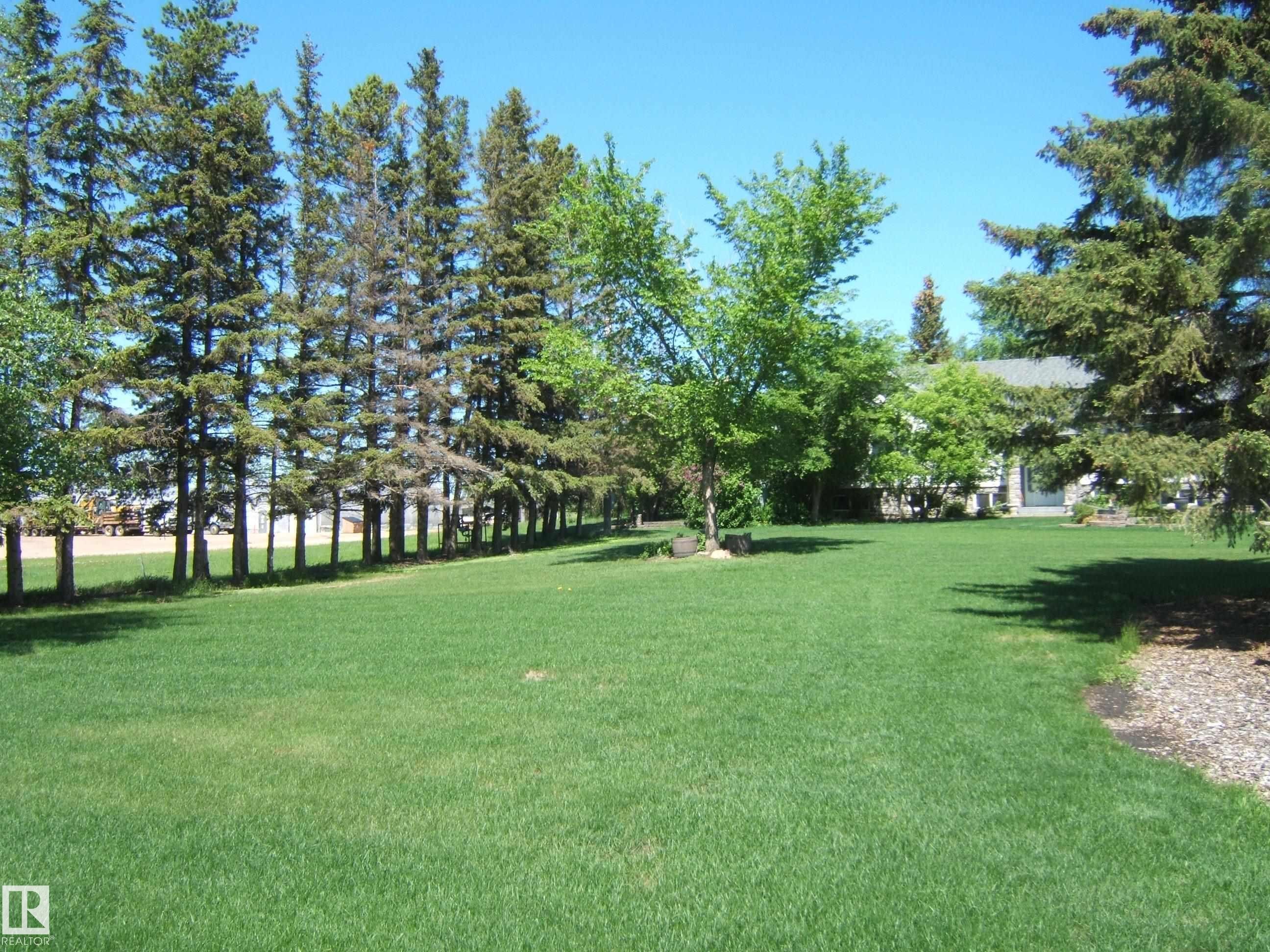 Expansive green lawn with mature evergreen trees bordering one side - 123064 Hwy 45, Rural Two Hills County, AB