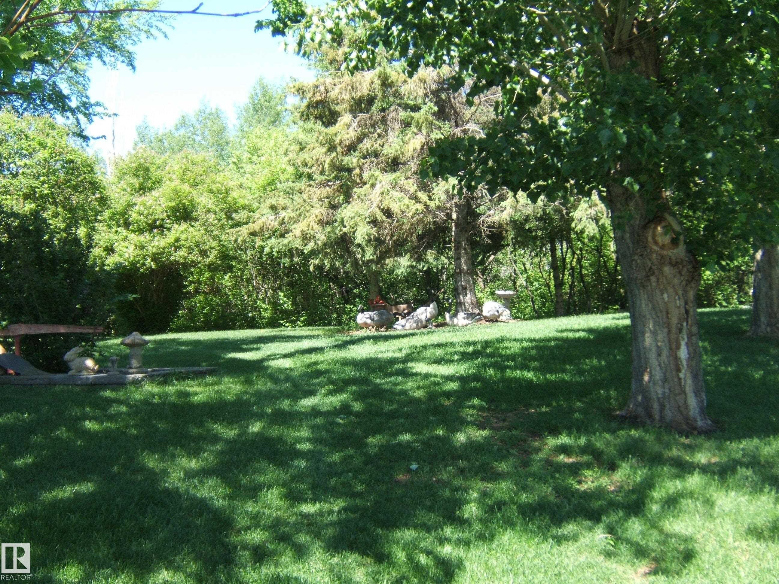 Expansive grassy area featuring mature deciduous trees and varied green foliage - 123064 Hwy 45, Rural Two Hills County, AB