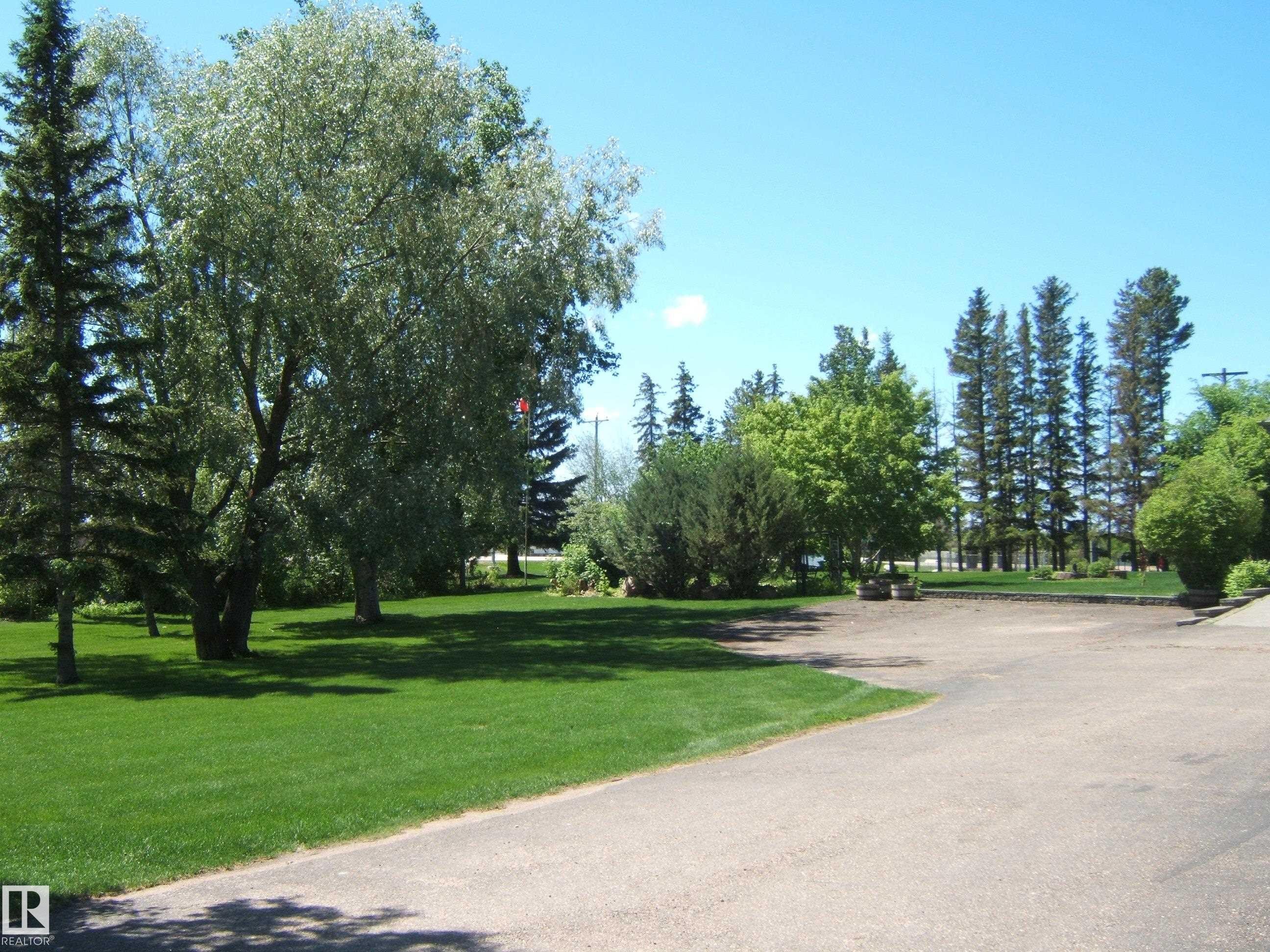 Expansive green lawn with mature trees and a paved driveway - 123064 Hwy 45, Rural Two Hills County, AB