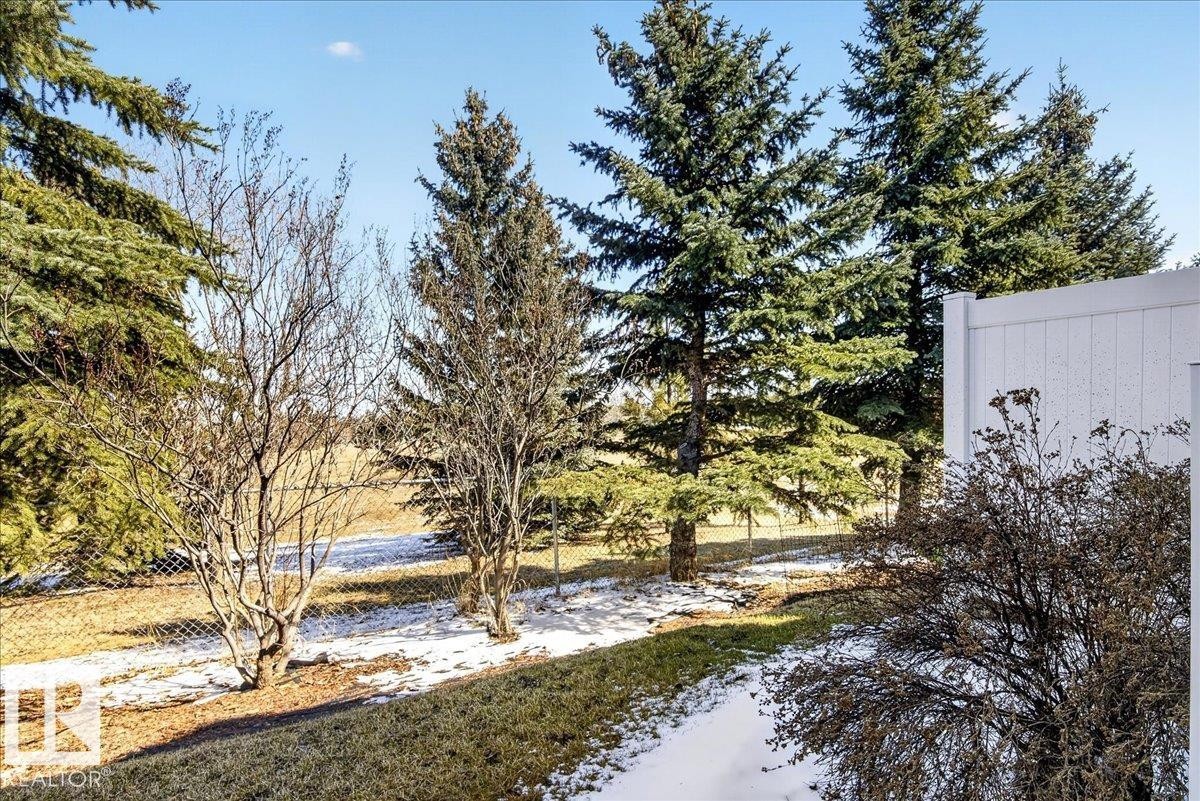 Expansive outdoor space featuring mature evergreen trees, scattered deciduous trees, and a low chain-link fence - 18 6032 38 Avenue, Edmonton, AB - Outdoor With View
