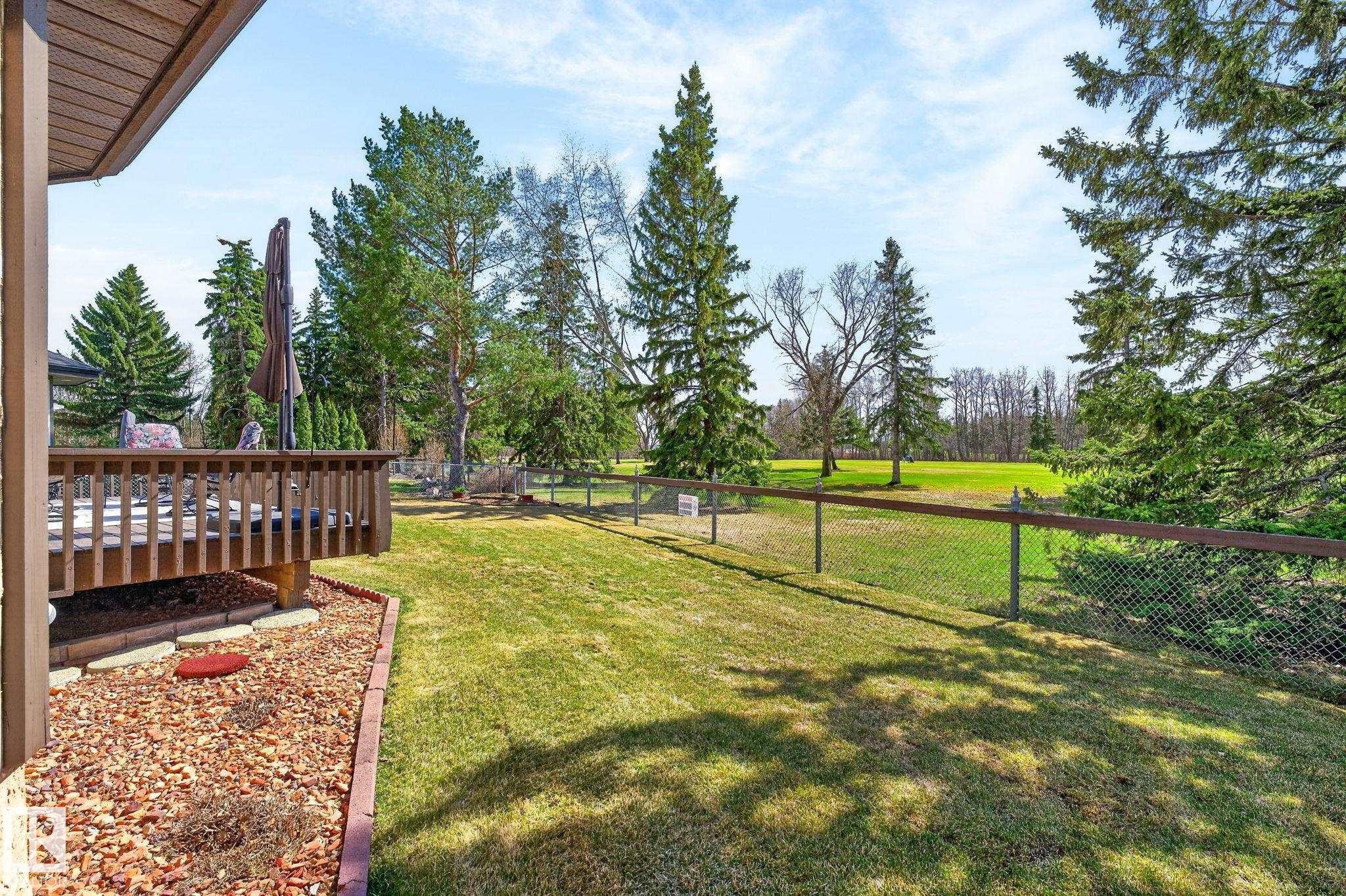 Expansive backyard featuring a manicured lawn, established landscaping, and mature evergreen trees - 848 Wheeler Road W, Edmonton, AB - Outdoor