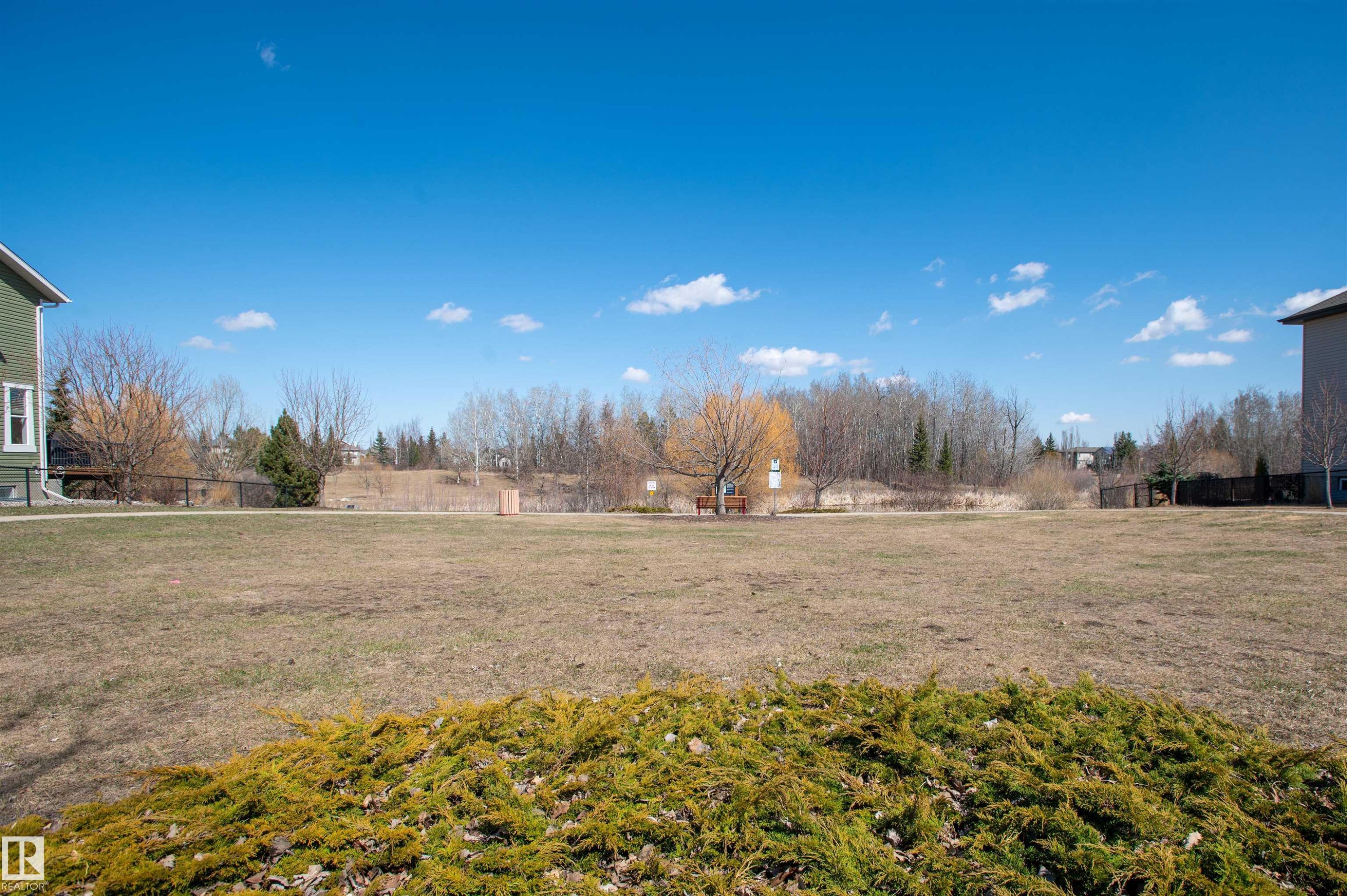 Expansive grassy area with natural landscaping and mature trees - 121 Ellington Crescent, St. Albert, AB - Outdoor With View