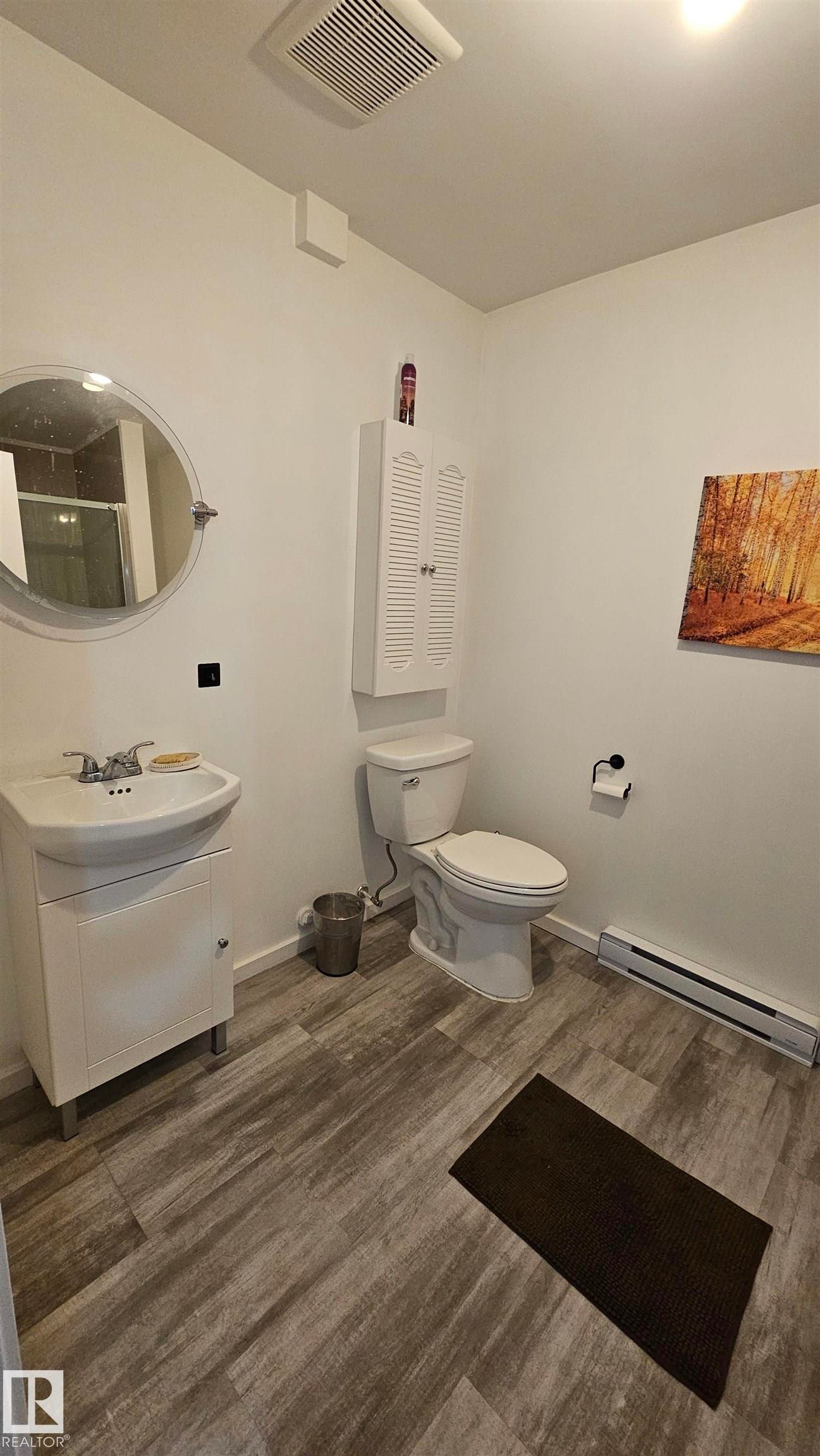 basement bathroom with walk in shower - 58513 Range Road 231, Rural Thorhild County, AB - Indoor Photo Showing Bathroom