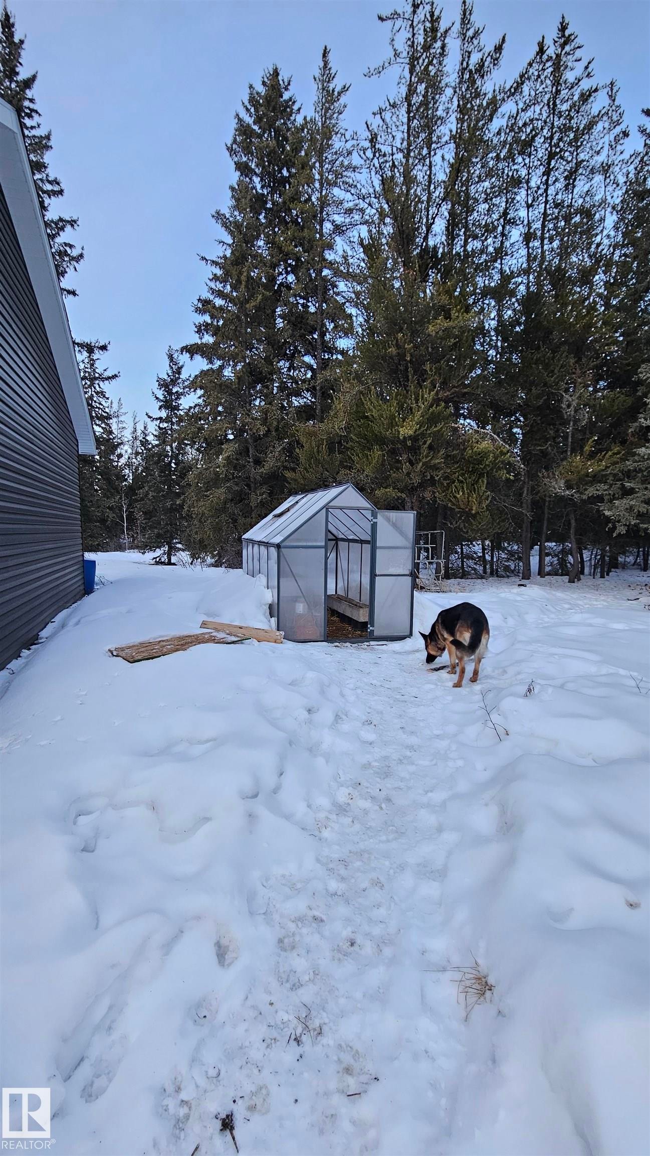 Handy greenhouse perfect for happy plants. - 58513 Range Road 231, Rural Thorhild County, AB - Outdoor