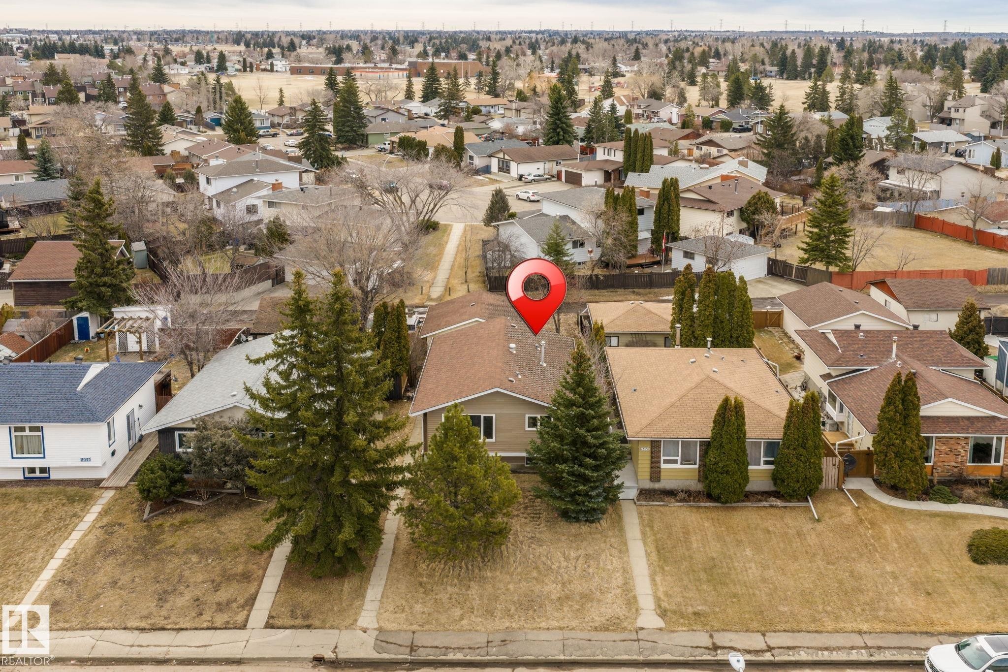 Single-story dwelling with a brown shingle roof, light-colored siding, and mature evergreen trees flanking the front - 1566 Lakewood Road Nw, Edmonton, AB - Outdoor With View