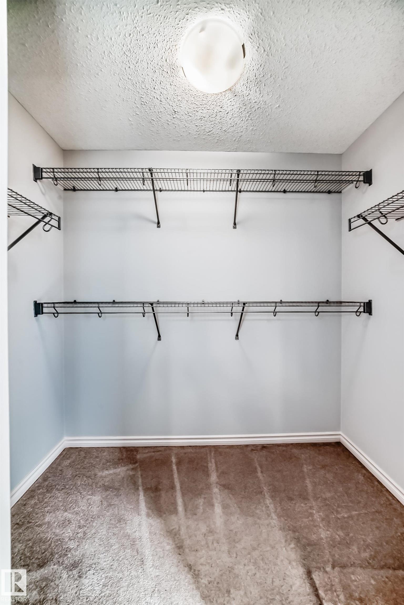 Walk-in closet featuring light blue walls, brown carpet, white baseboards, and a flush mount ceiling light - 6723 19 Avenue, Edmonton, AB - Indoor With Storage
