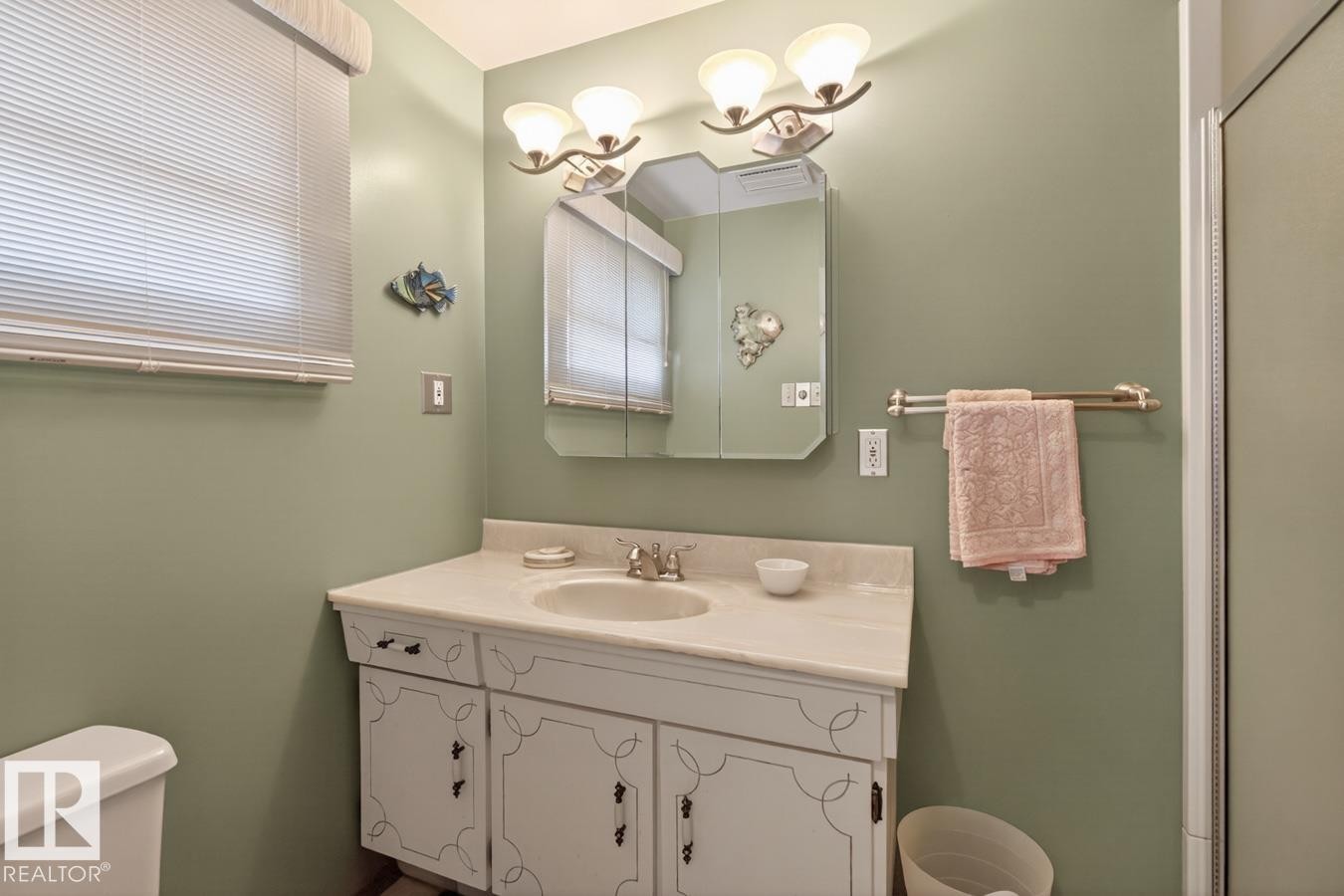 6036 105B Street, Edmonton, AB - Indoor Photo Showing Bathroom