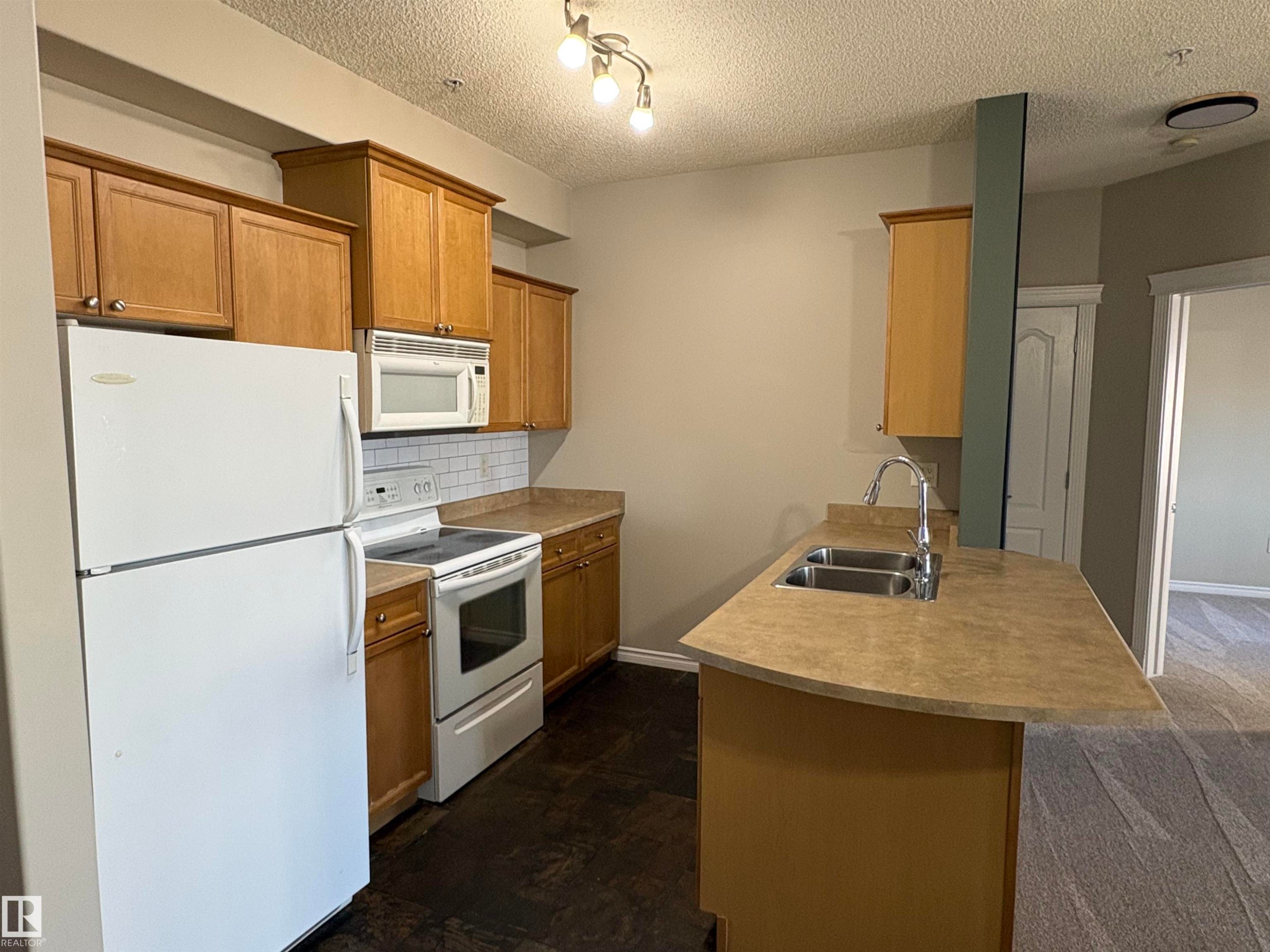 224 16807 100 Avenue, Edmonton, AB - Indoor Photo Showing Kitchen With Double Sink
