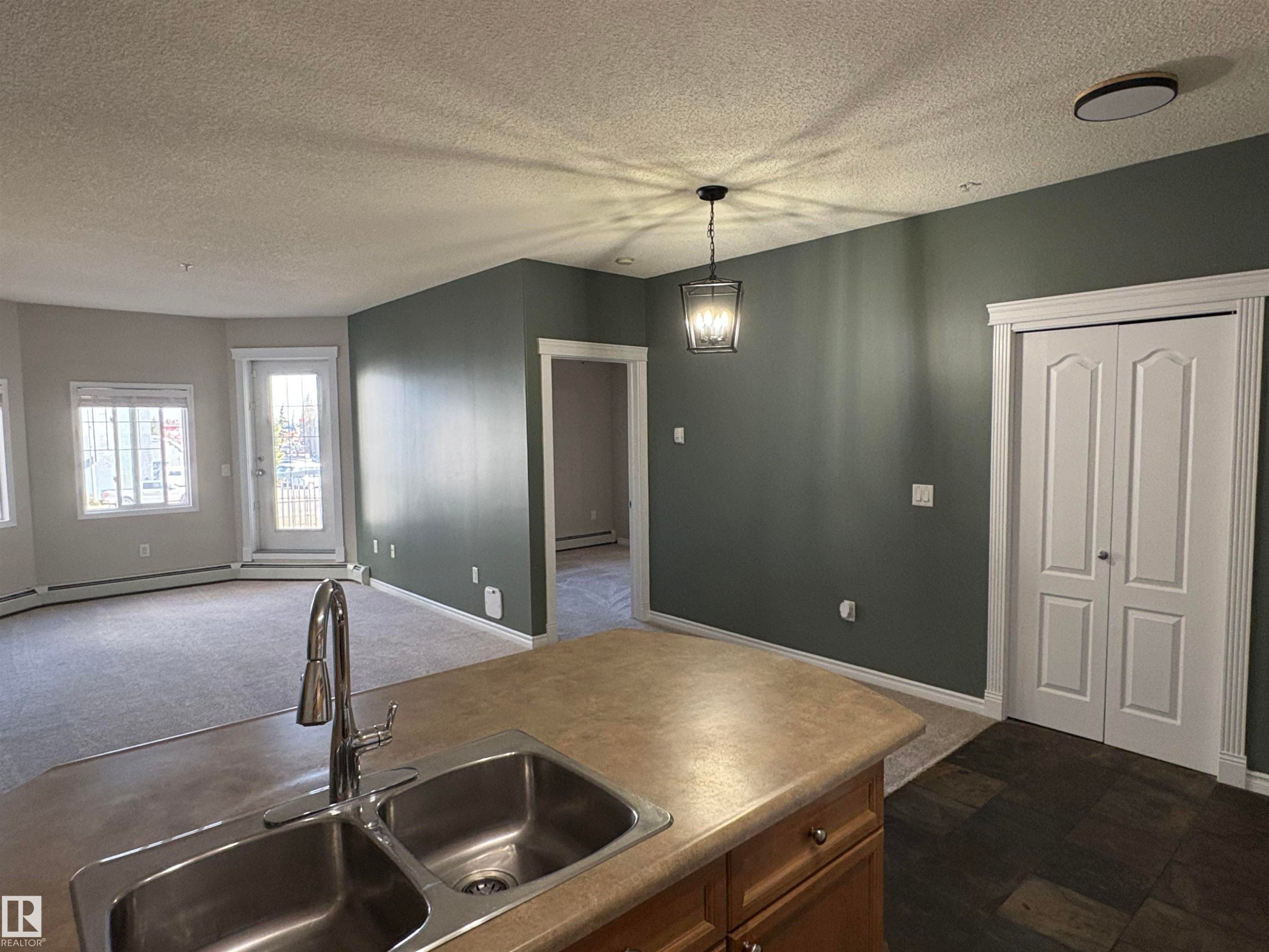 224 16807 100 Avenue, Edmonton, AB - Indoor Photo Showing Kitchen With Double Sink