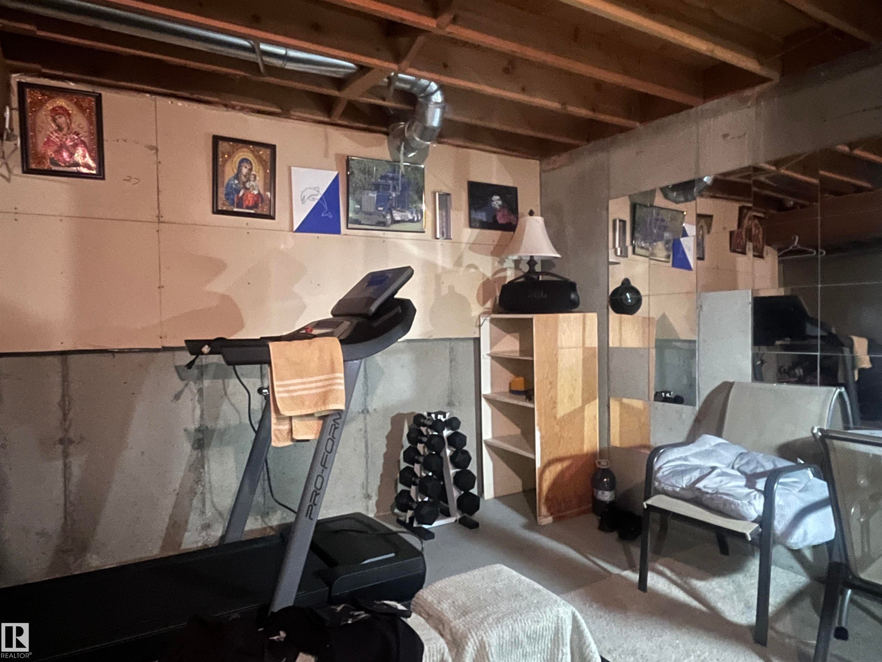 18160 96 Avenue, Edmonton, AB - Indoor Photo Showing Basement