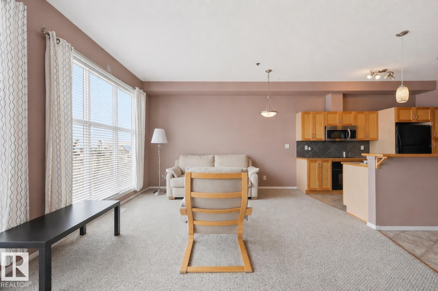 369 4823 104A Street, Edmonton, AB - Indoor Photo Showing Kitchen