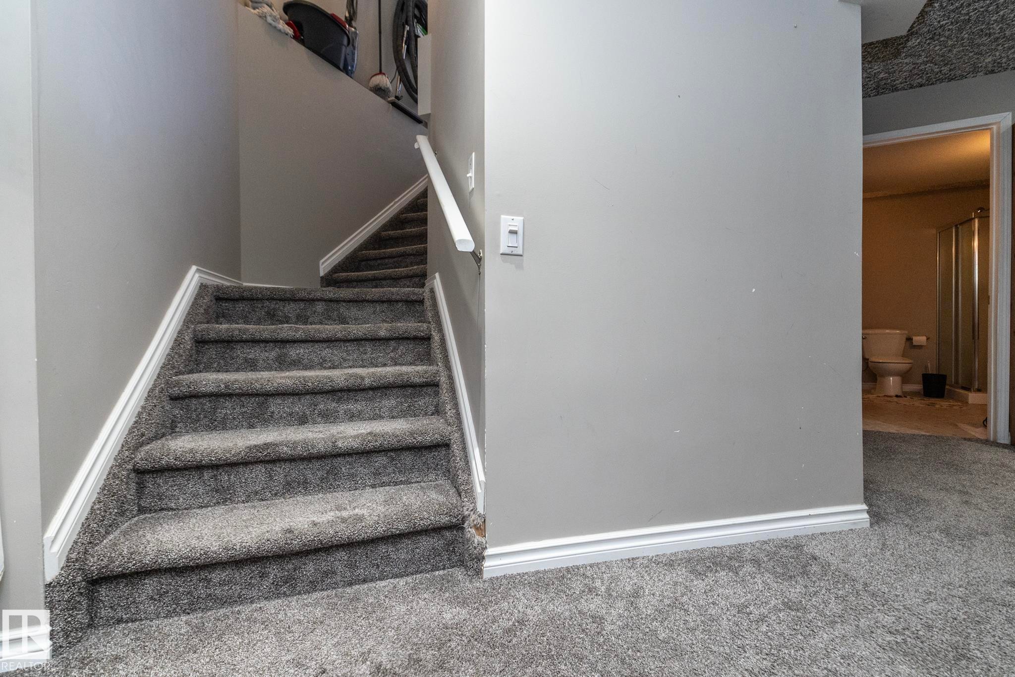 Carpeted staircase featuring a white handrail and base trim - 65 Birchmont Drive, Leduc, AB - Indoor Photo Showing Other Room