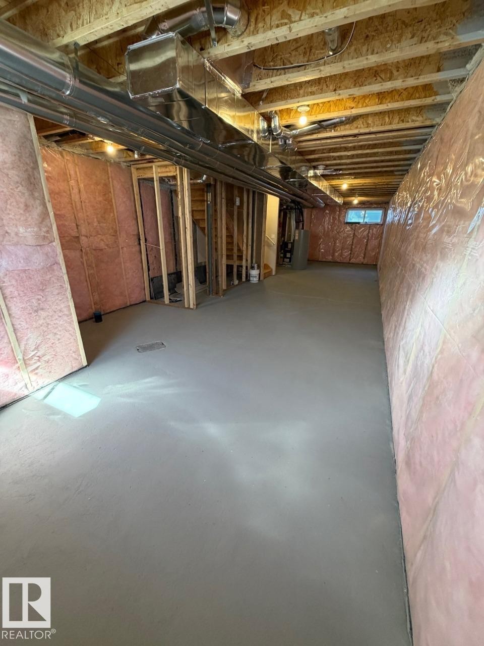 309 Edgemont Drive, Edmonton, AB - Indoor Photo Showing Basement
