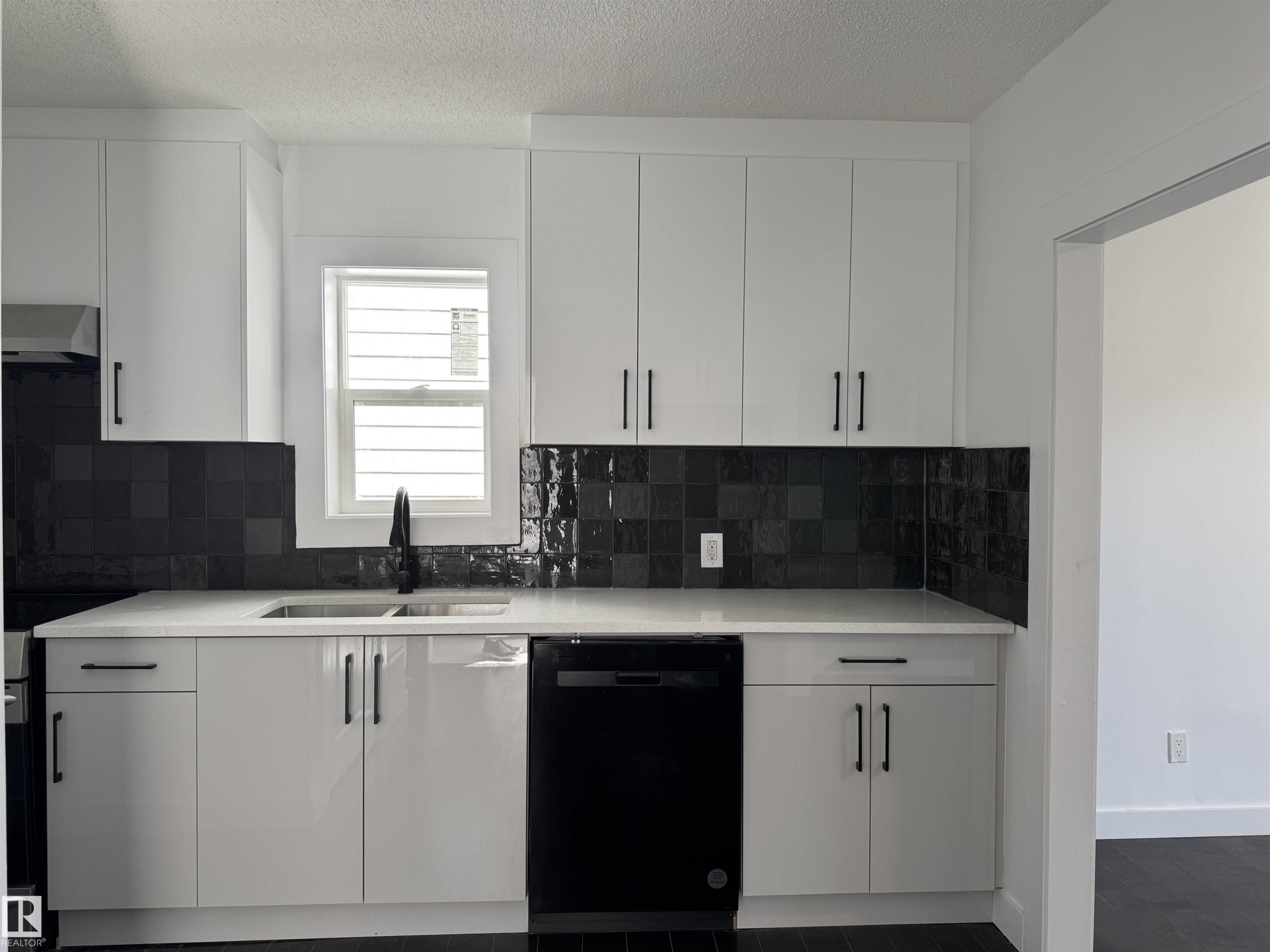 12948 116 Street, Edmonton, AB - Indoor Photo Showing Kitchen With Double Sink