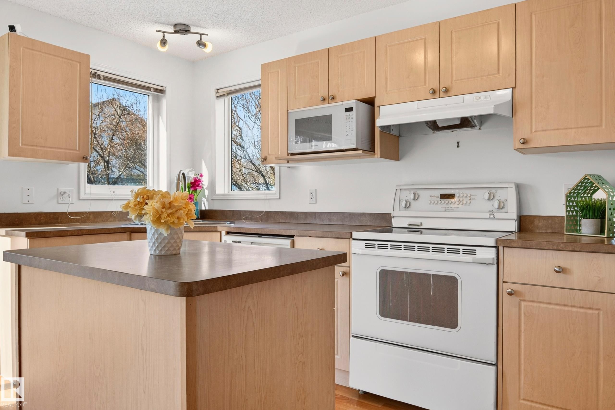 19019 49 Avenue, Edmonton, AB - Indoor Photo Showing Kitchen
