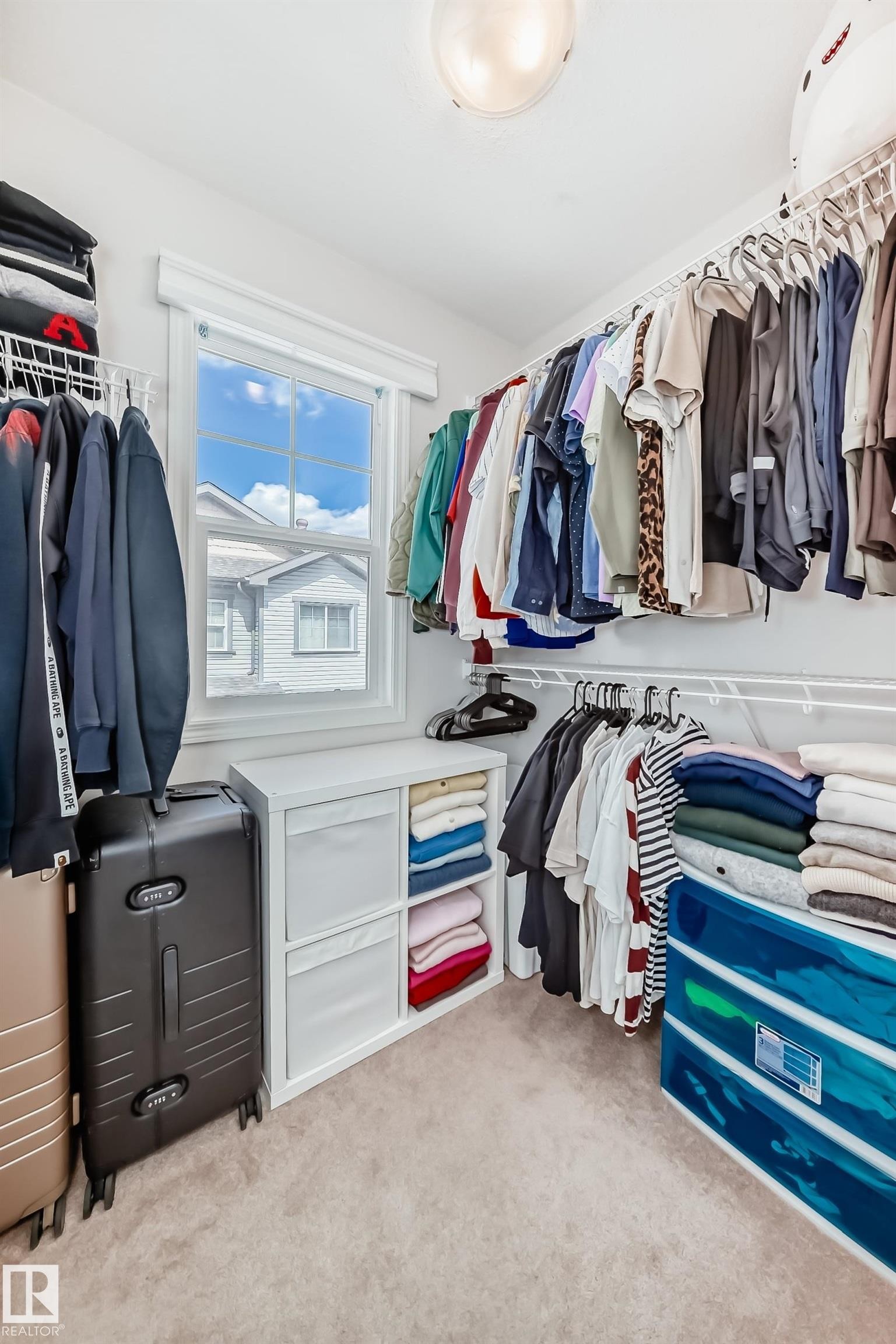 Walk-in closet featuring wire shelving, a window with white trim, and light-colored carpeting - 45 4850 Terwillegar Common, Edmonton, AB - Indoor With Storage