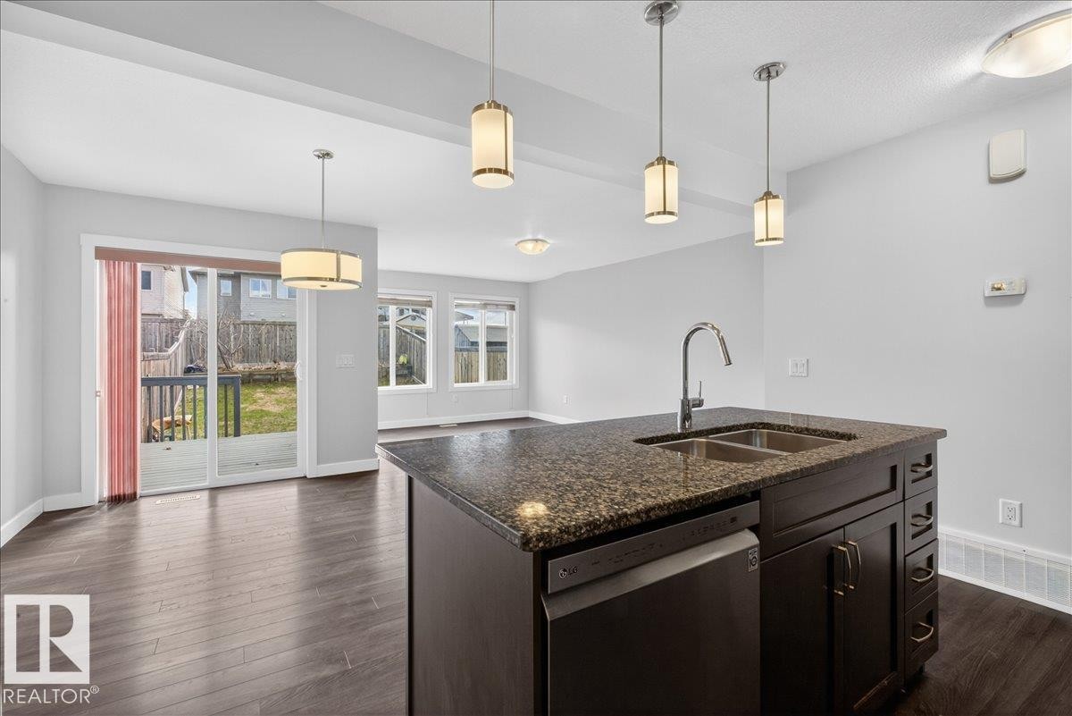 20315 43 Avenue, Edmonton, AB - Indoor Photo Showing Kitchen With Double Sink
