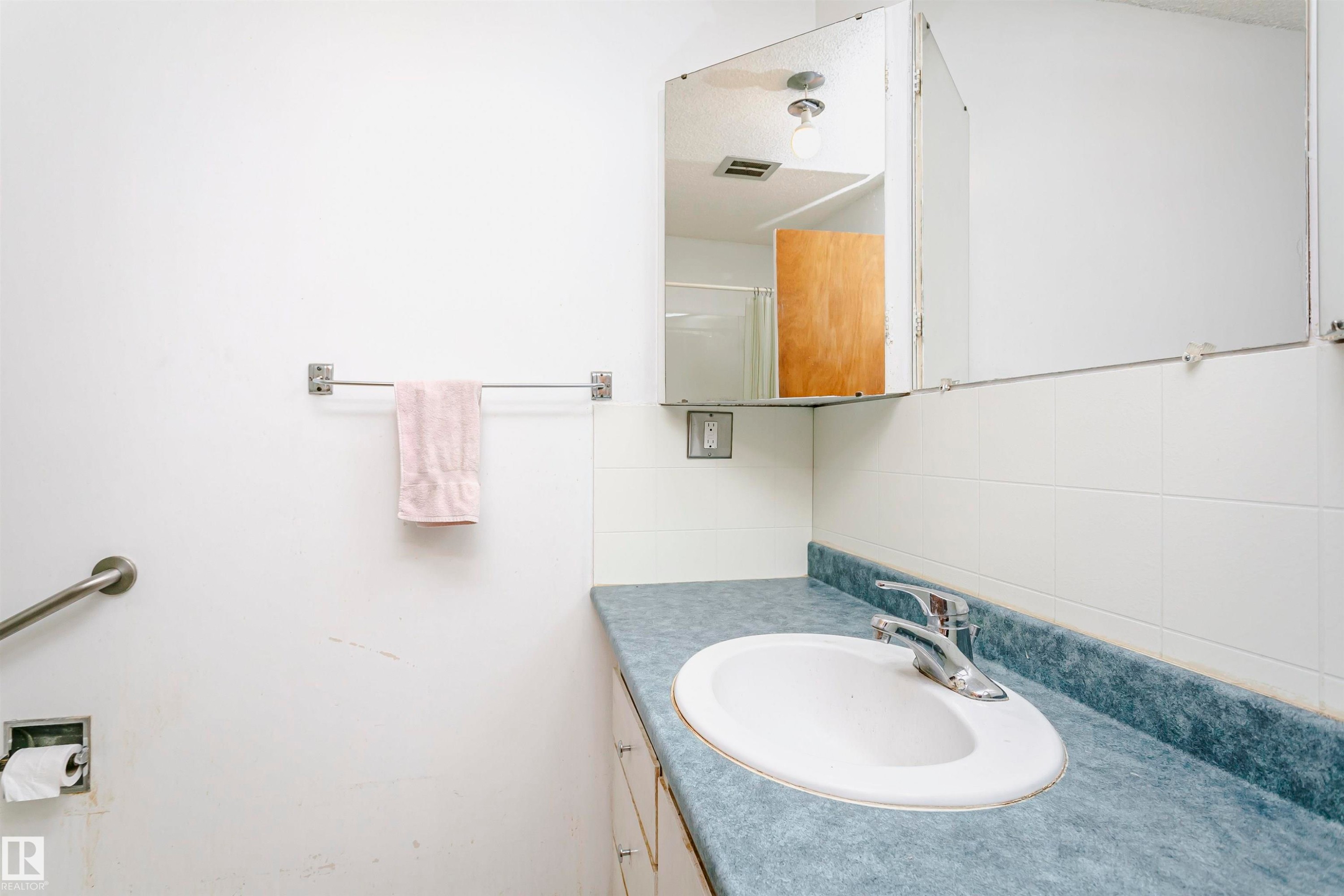 5041 48 Avenue, Bon Accord, AB - Indoor Photo Showing Bathroom