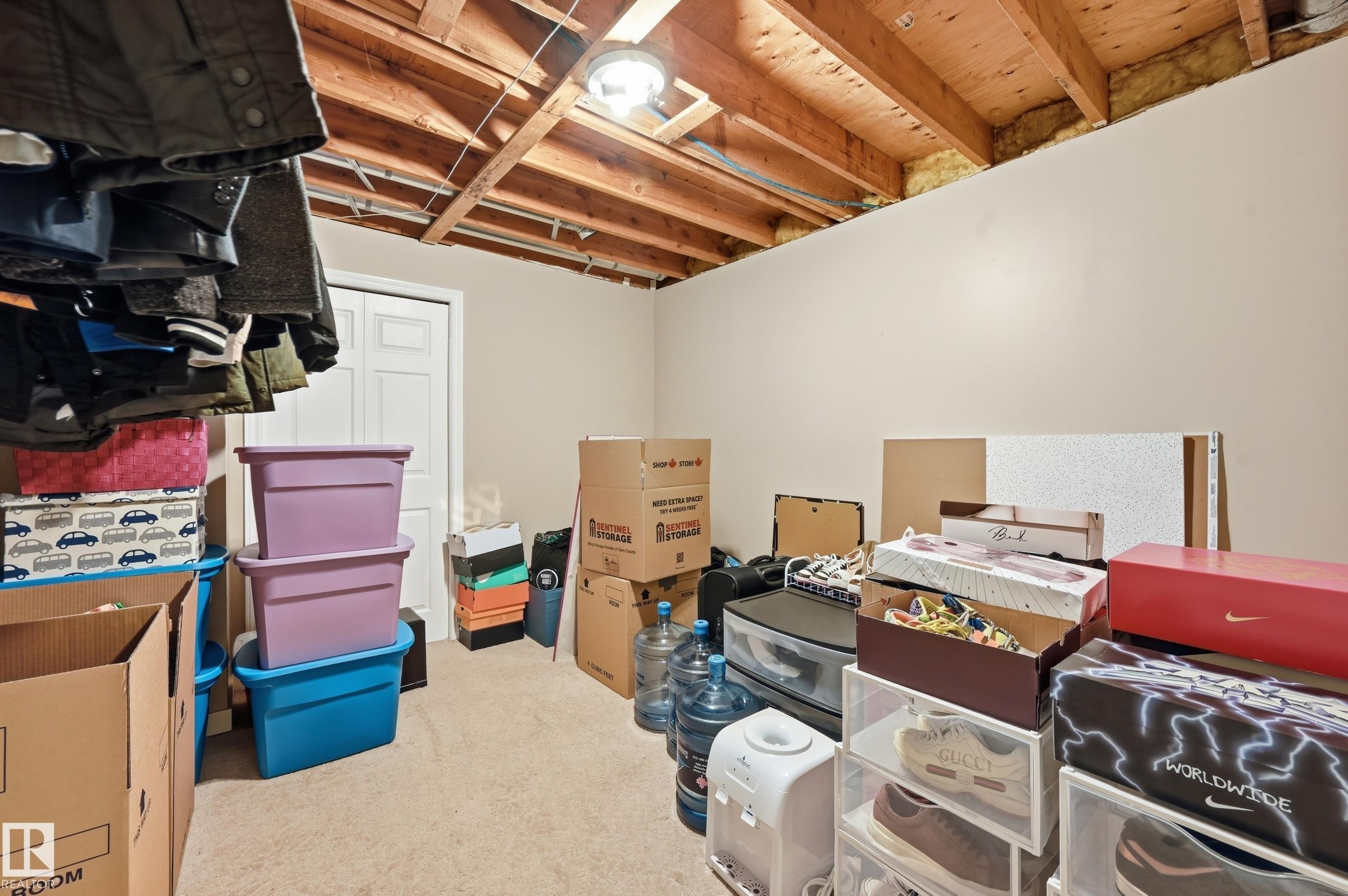18424 96A Avenue, Edmonton, AB - Indoor Photo Showing Basement