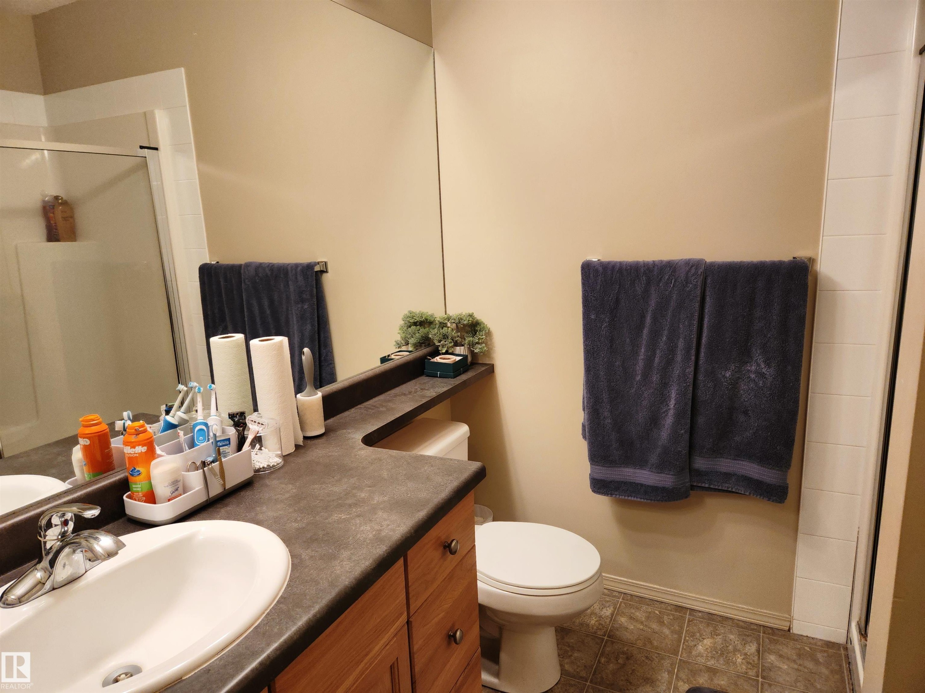 #125 2098 Blackmud Creek Dr Sw, Edmonton, AB - Indoor Photo Showing Bathroom