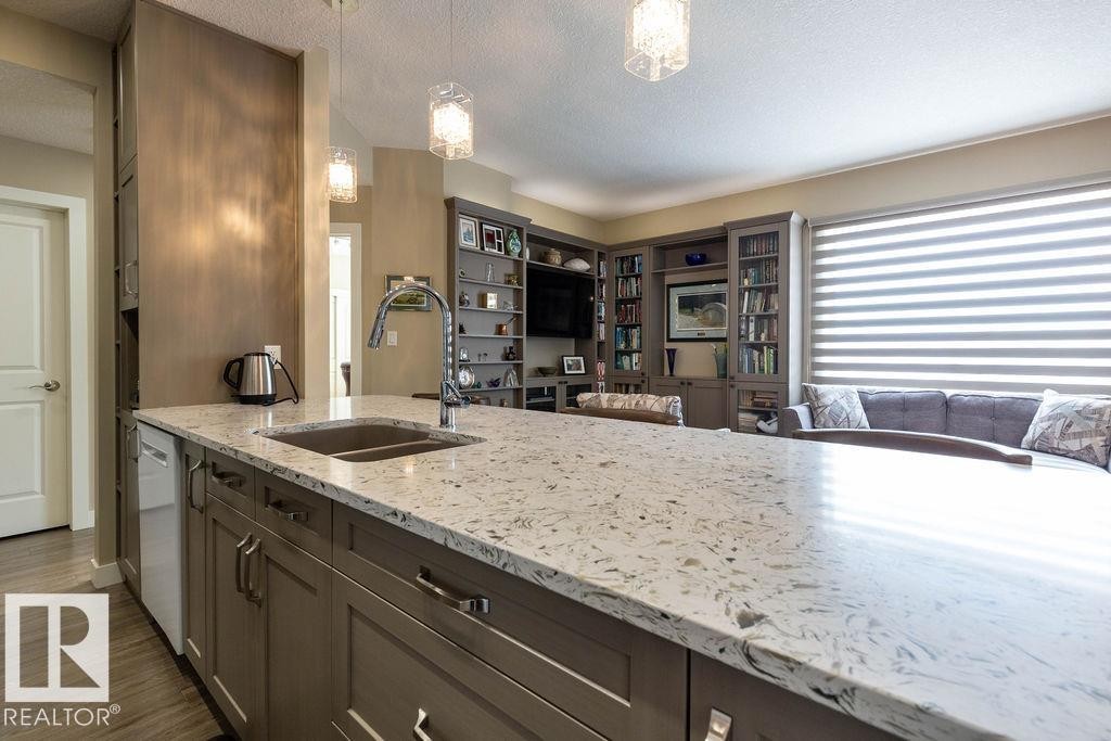 301 9707 105 Street, Edmonton, AB - Indoor Photo Showing Kitchen With Double Sink