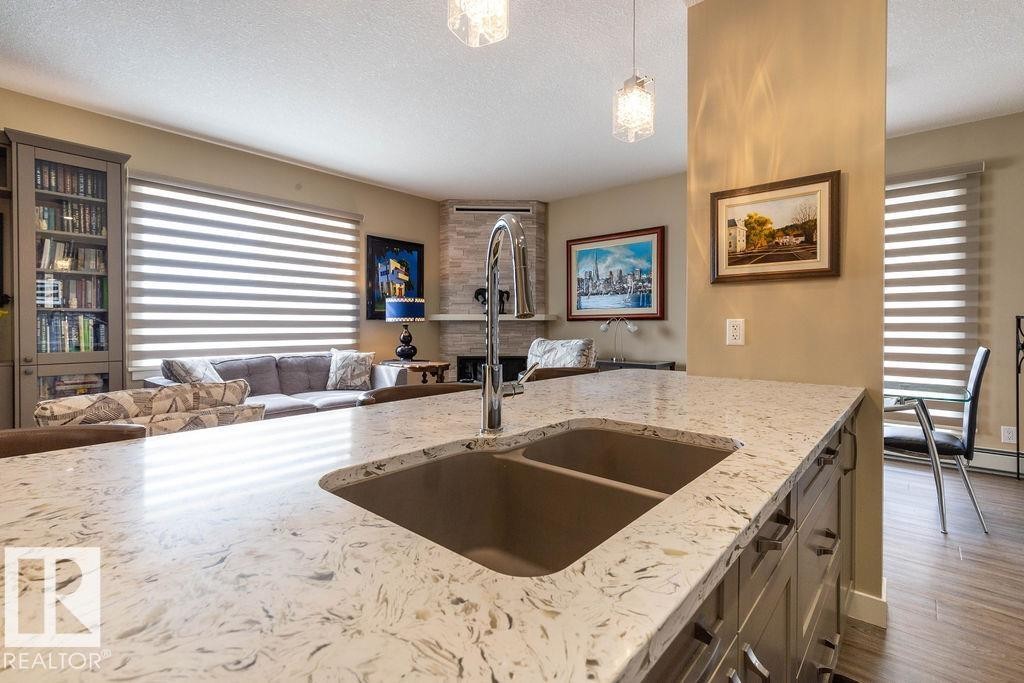 301 9707 105 Street, Edmonton, AB - Indoor Photo Showing Kitchen With Double Sink