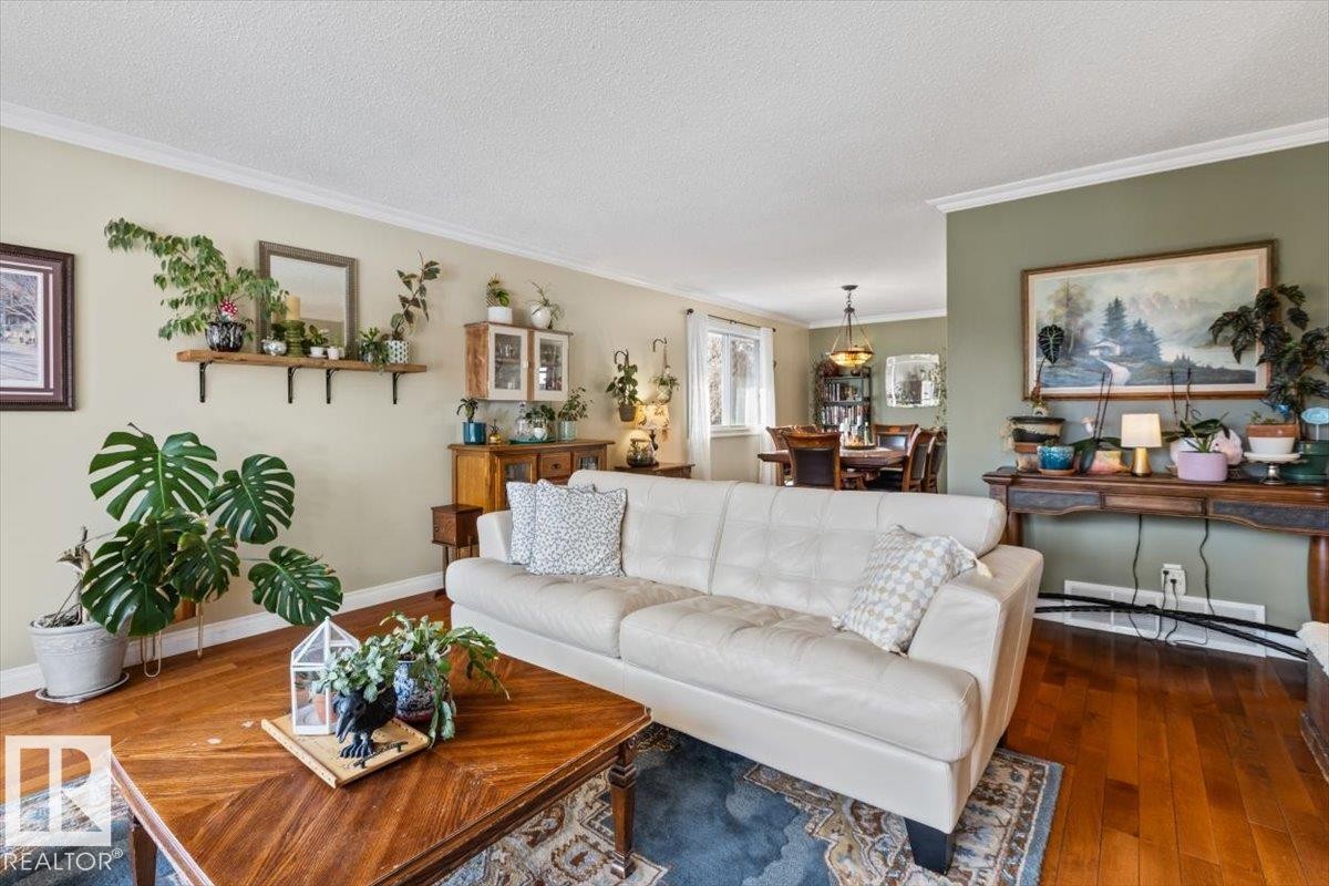 2446 78 Street, Edmonton, AB - Indoor Photo Showing Living Room