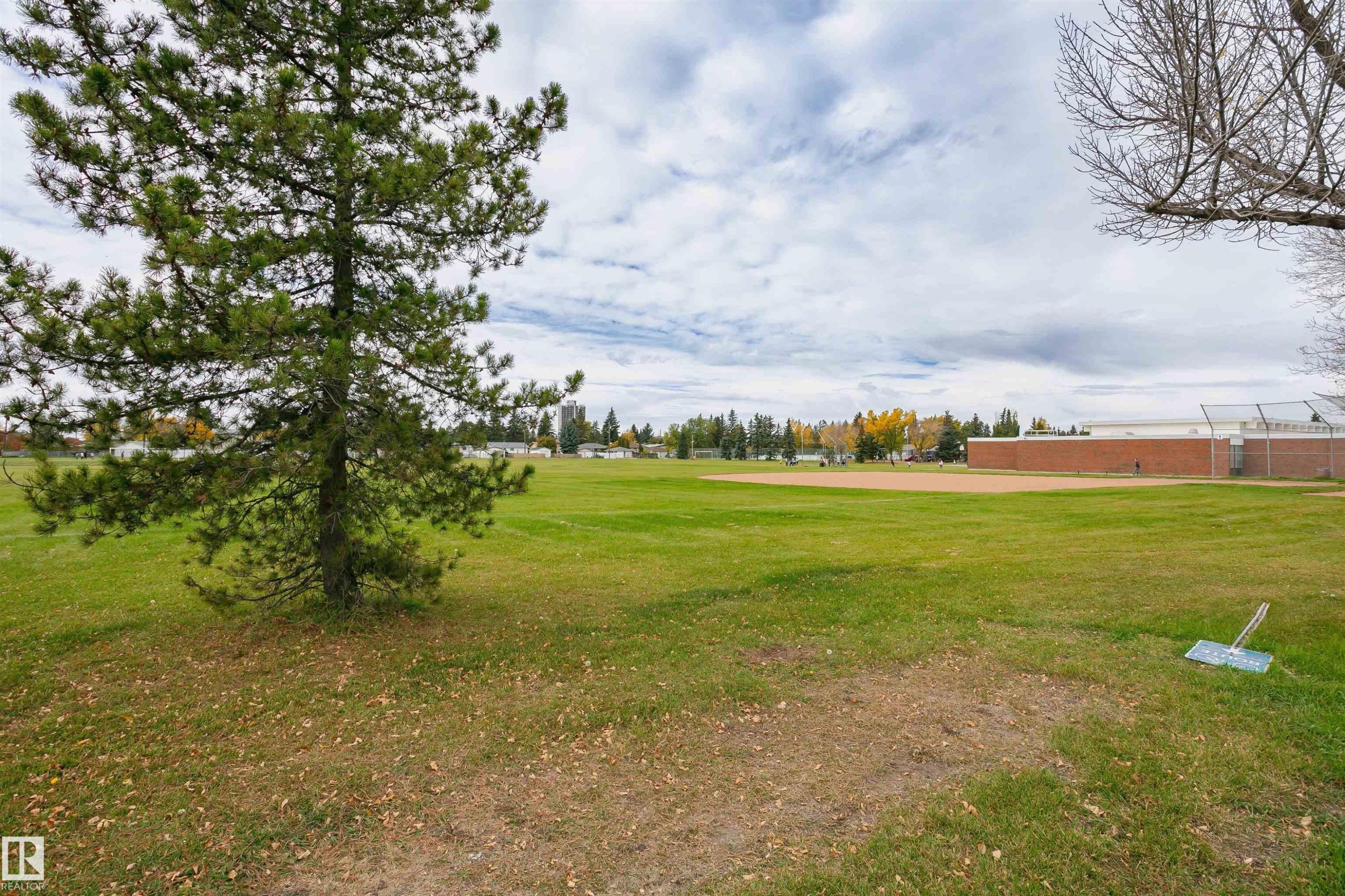 Expansive green space featuring a mature pine tree and a distant baseball diamond - 11423 50 Avenue, Edmonton, AB - Outdoor With View