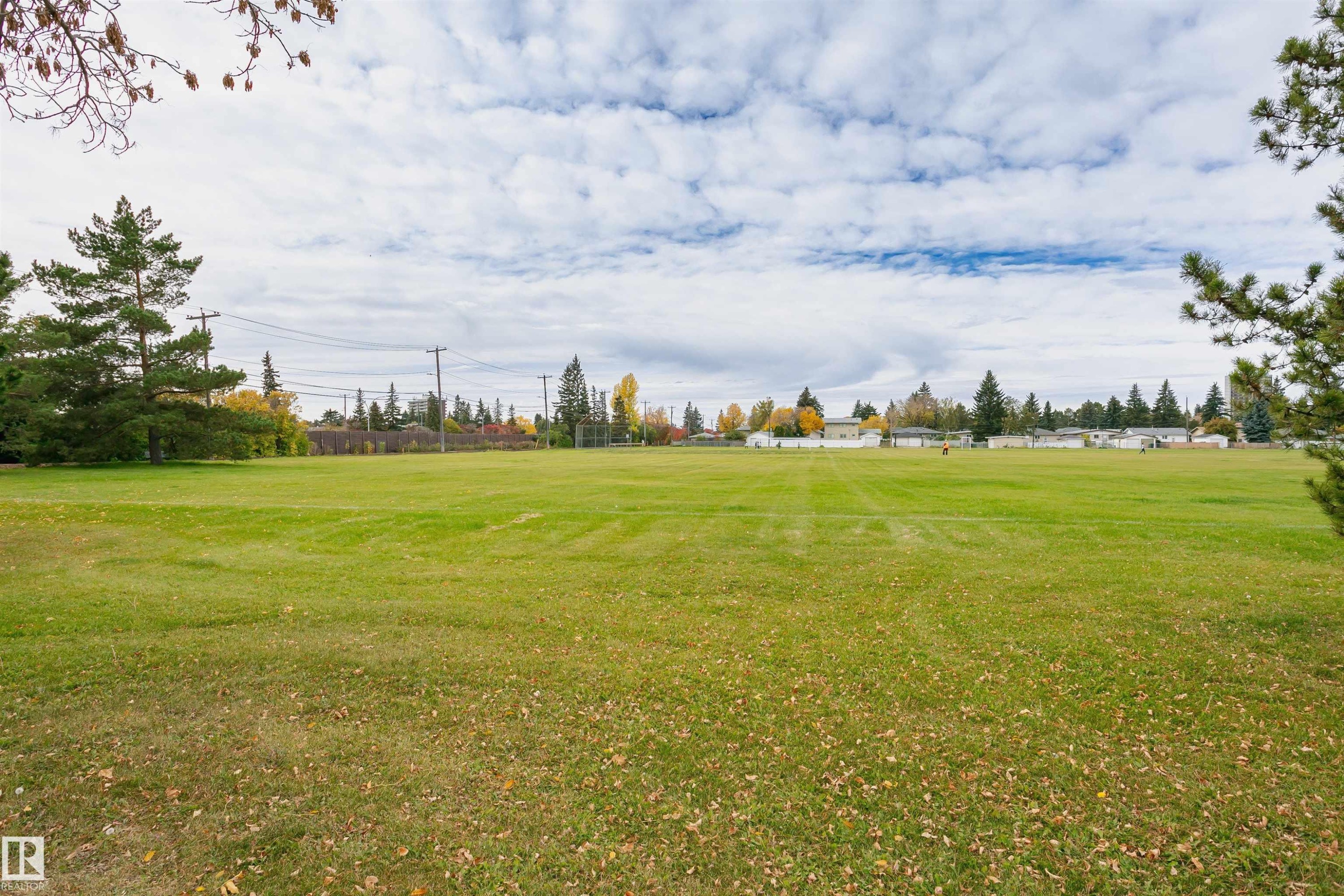 Expansive green space featuring mature trees and a distant residential backdrop - 11423 50 Avenue, Edmonton, AB - Outdoor With View