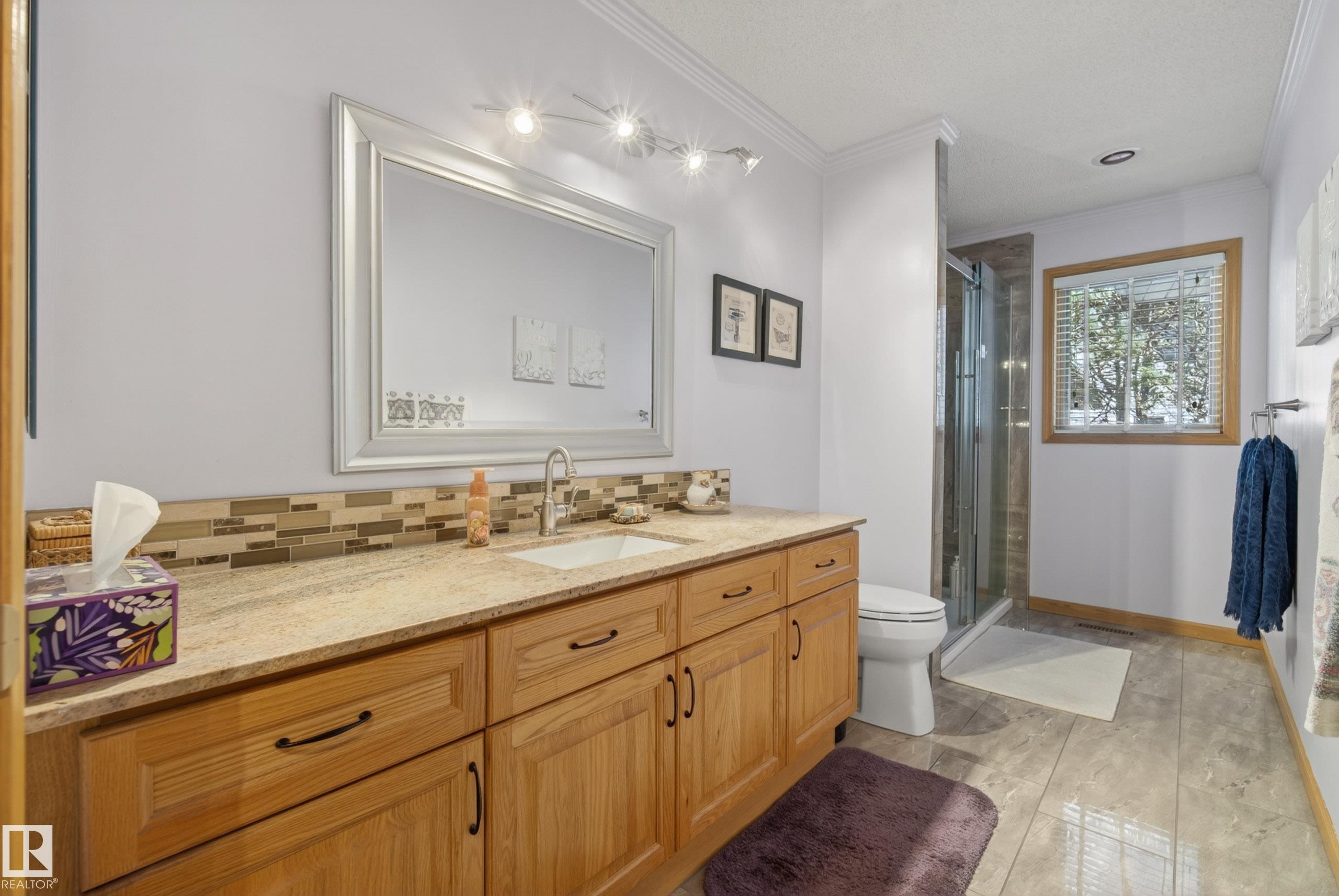 433 Twin Brooks Crescent, Edmonton, AB - Indoor Photo Showing Bathroom