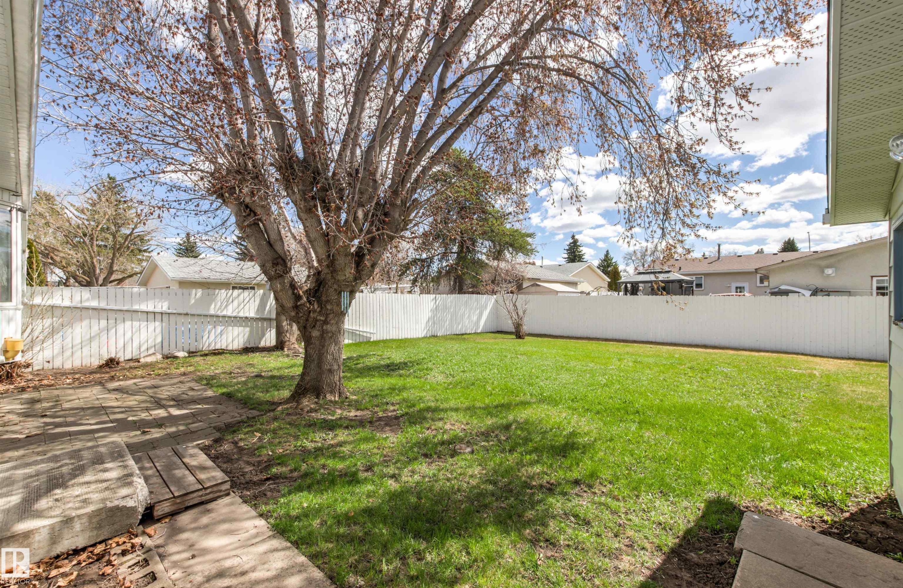 Expansive lawn area featuring a mature tree, bordered by a white picket fence - 29 Bristow Crescent, Spruce Grove, AB - Outdoor