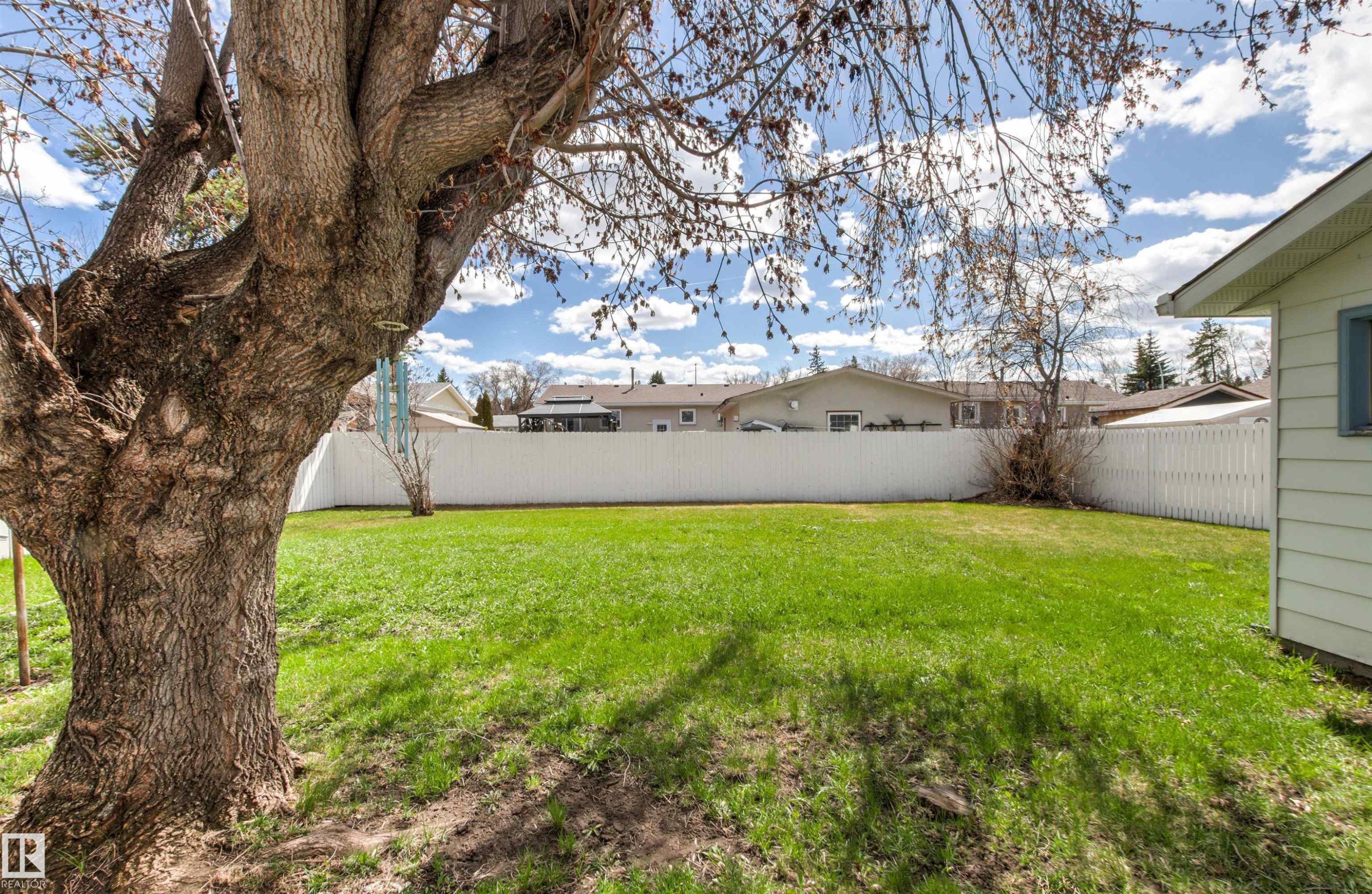 Expansive backyard featuring a large mature tree, green lawn, white picket fence, and a portion of a light-colored exterior wall - 29 Bristow Crescent, Spruce Grove, AB - Outdoor